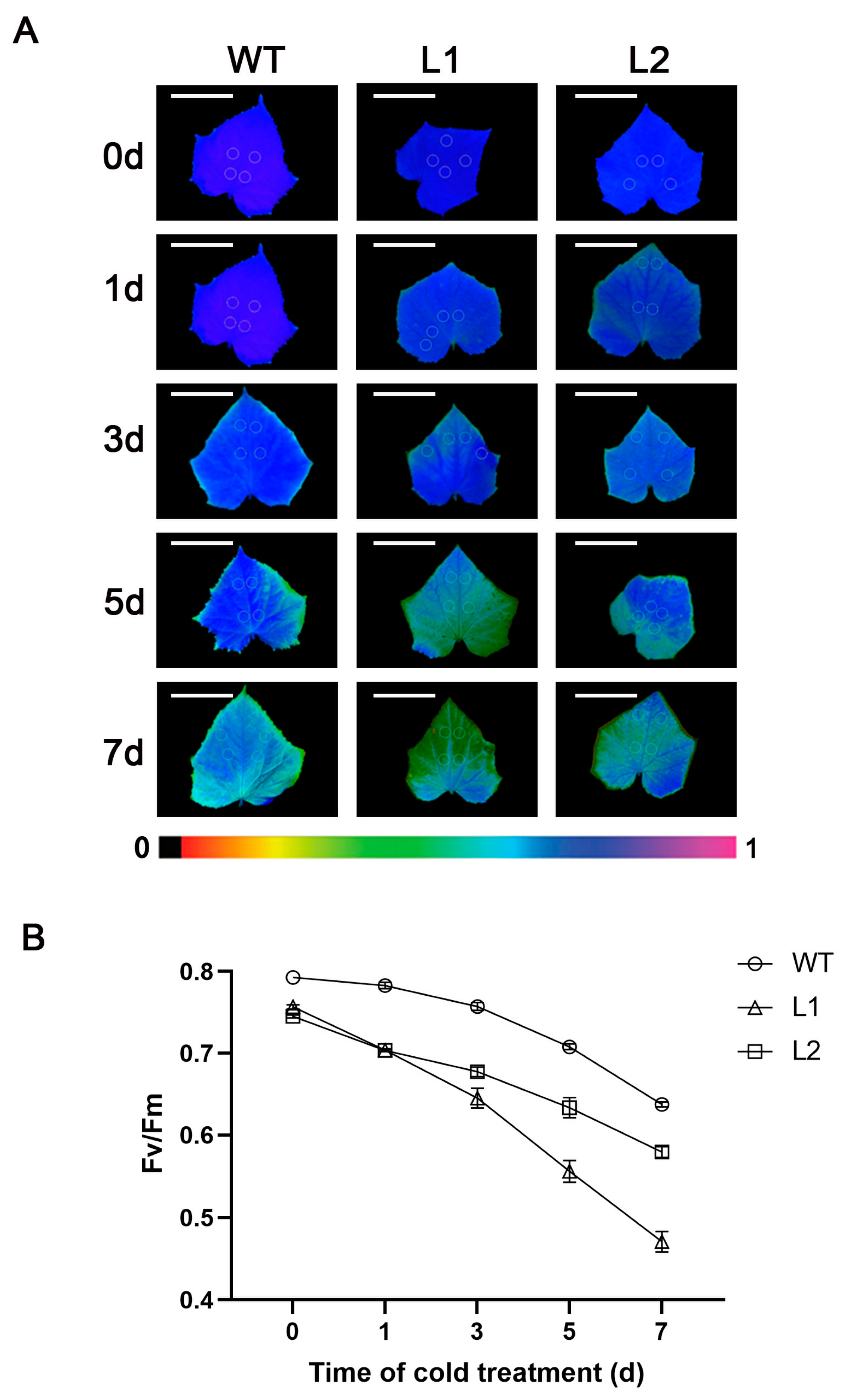 Horticulturae 09 00240 g003