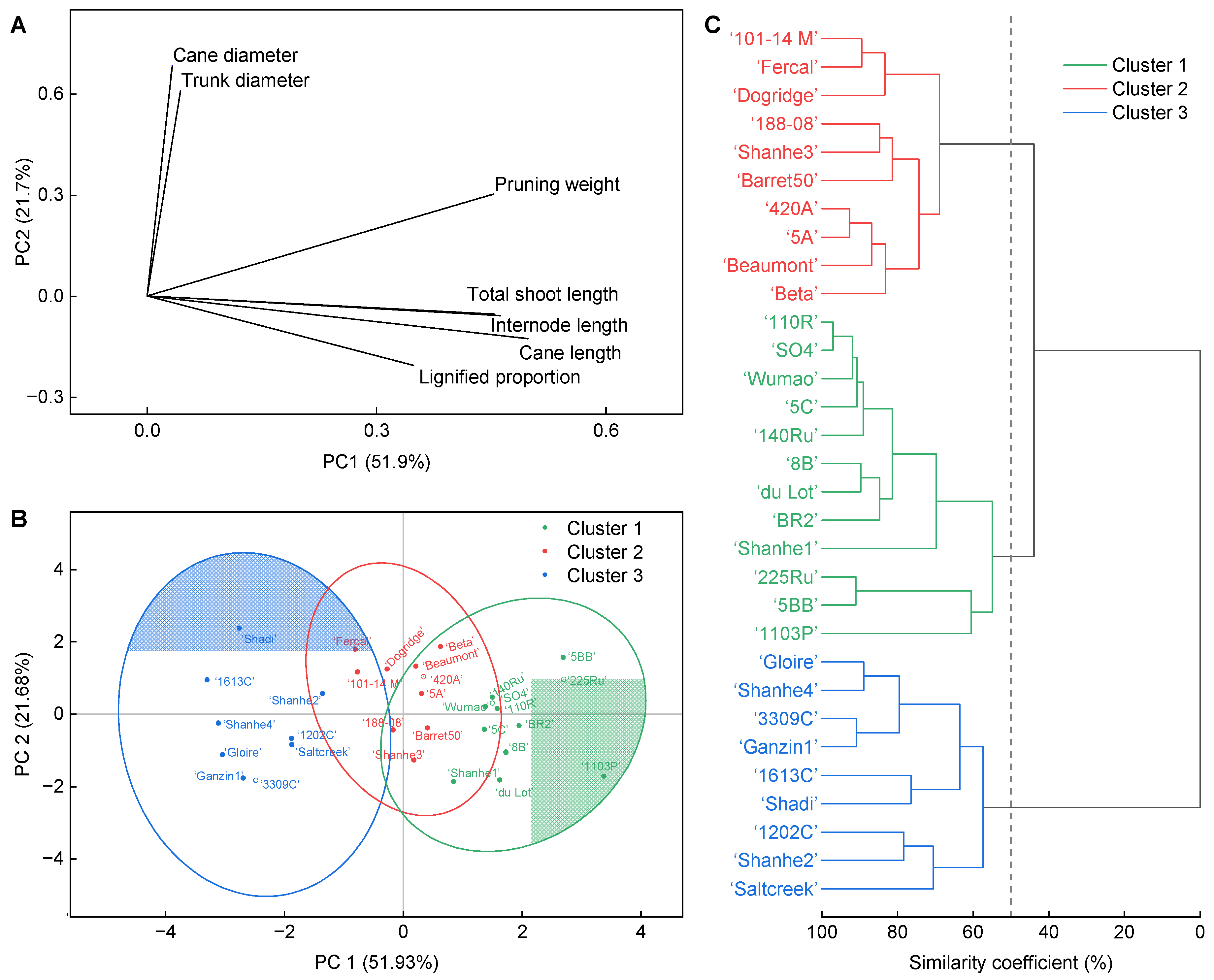 Horticulturae 09 00241 g004