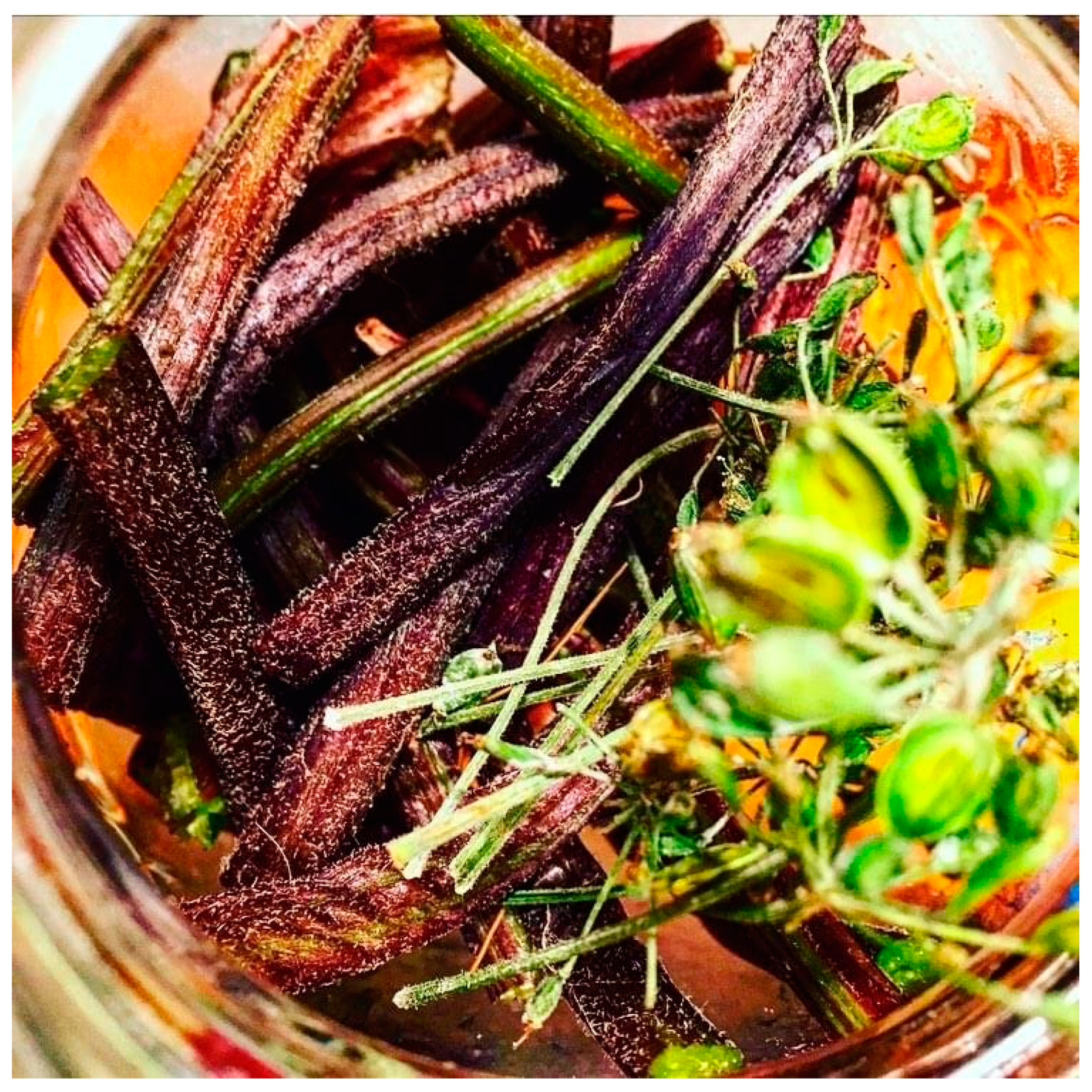 Horticulturae 09 00246 g006 Horticulturae 09 00246 g006