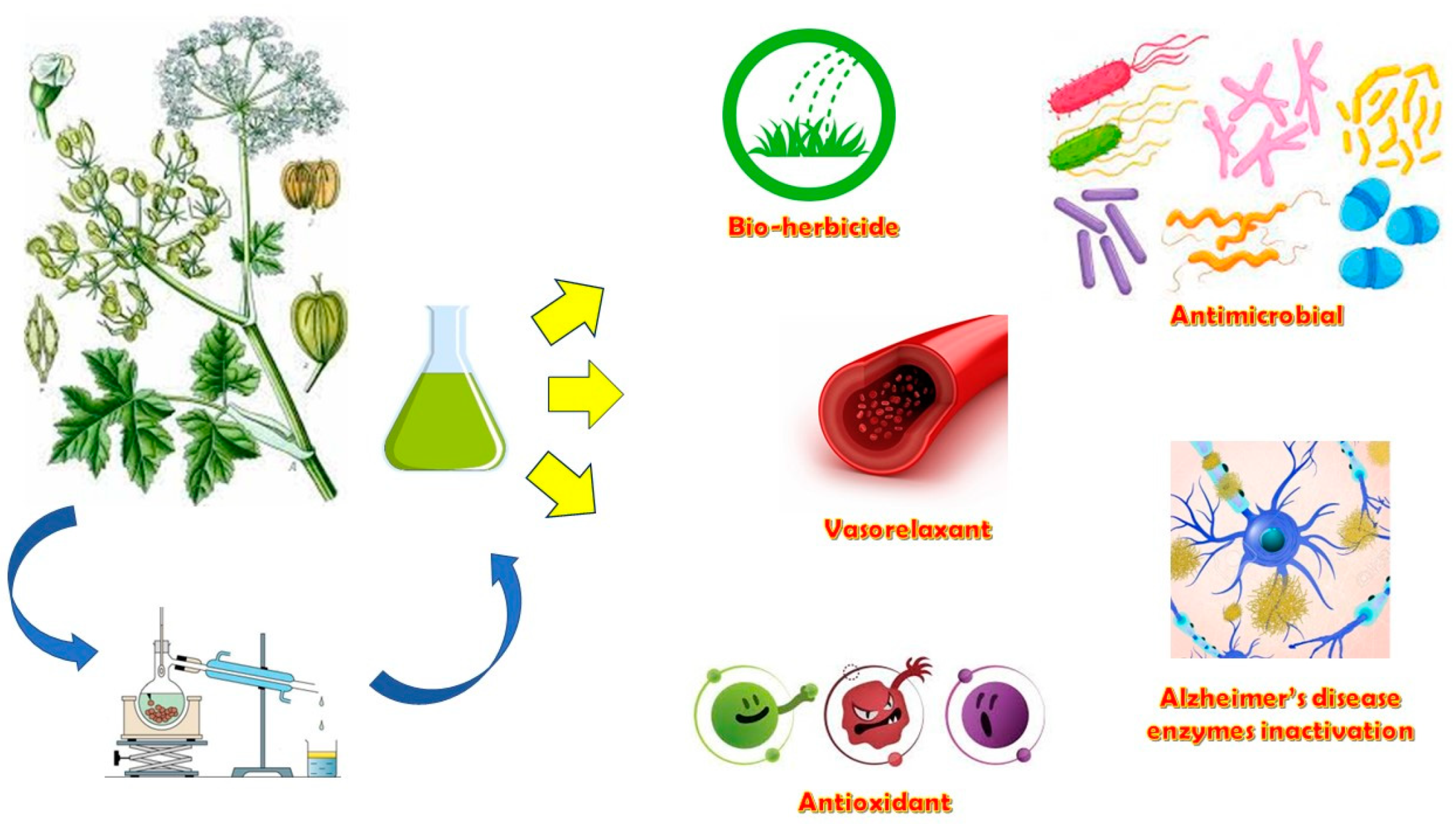 Horticulturae 09 00246 g008 Horticulturae 09 00246 g008