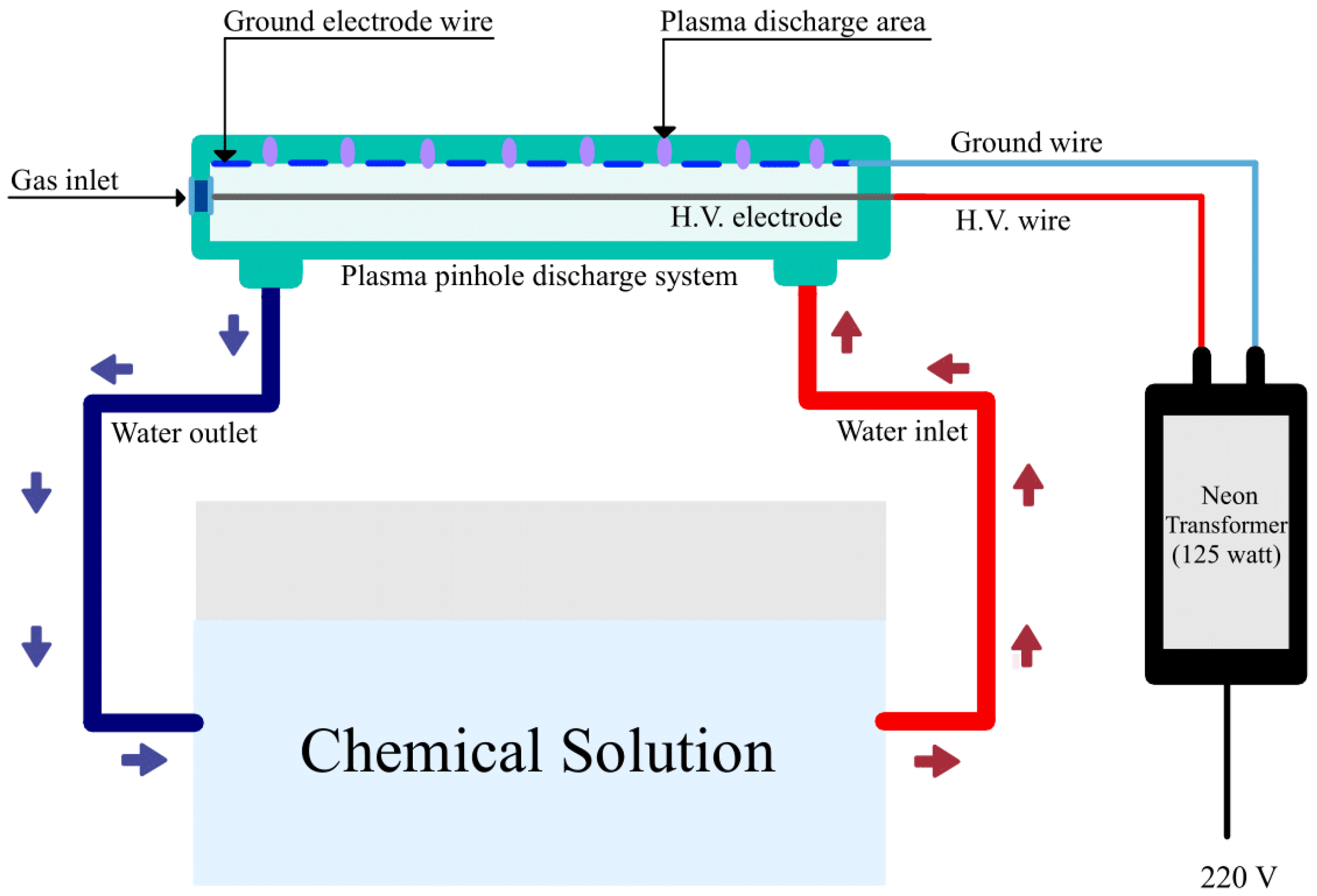 Horticulturae 09 00248 g001 550