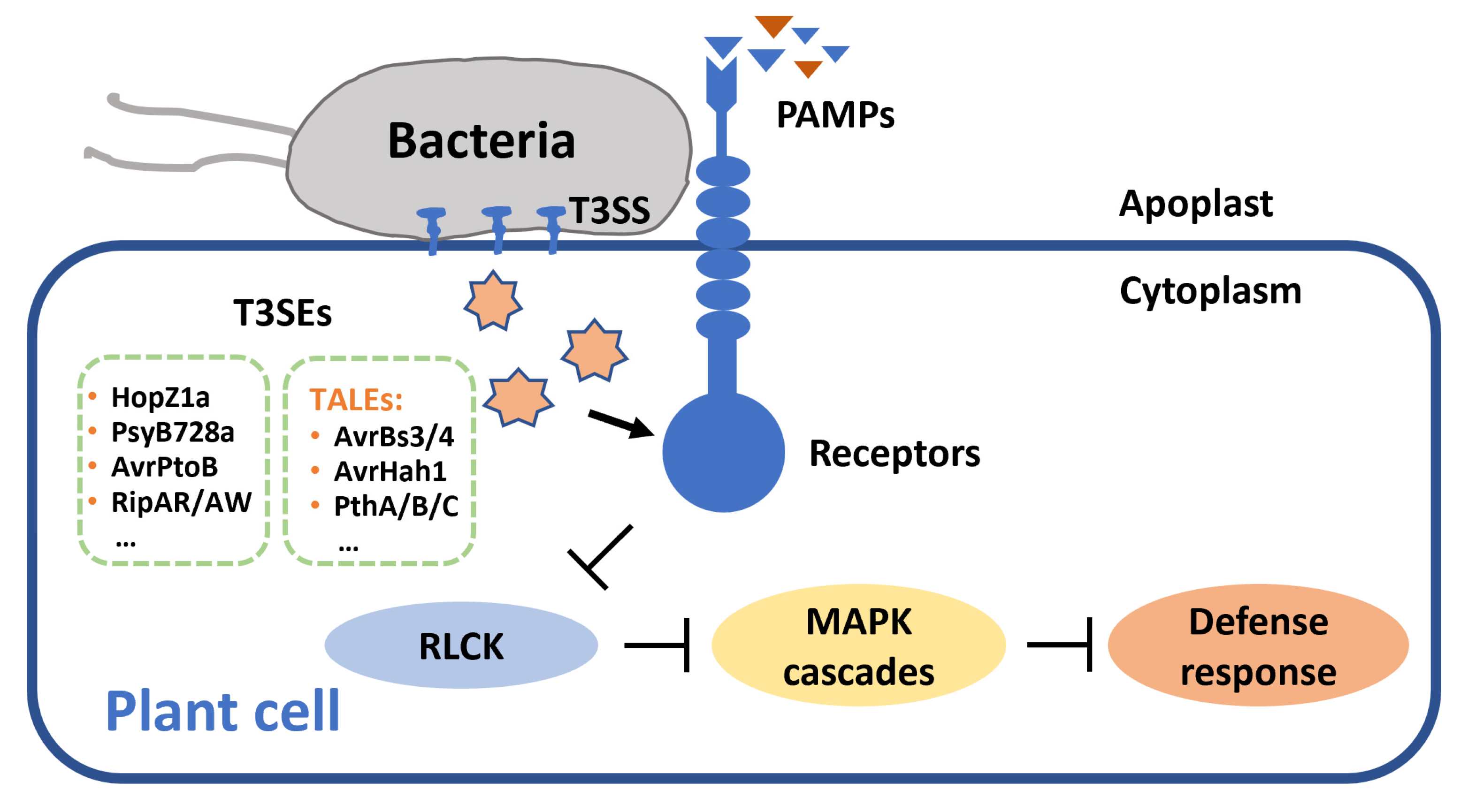Horticulturae 09 00250 g001 Horticulturae 09 00250 g001