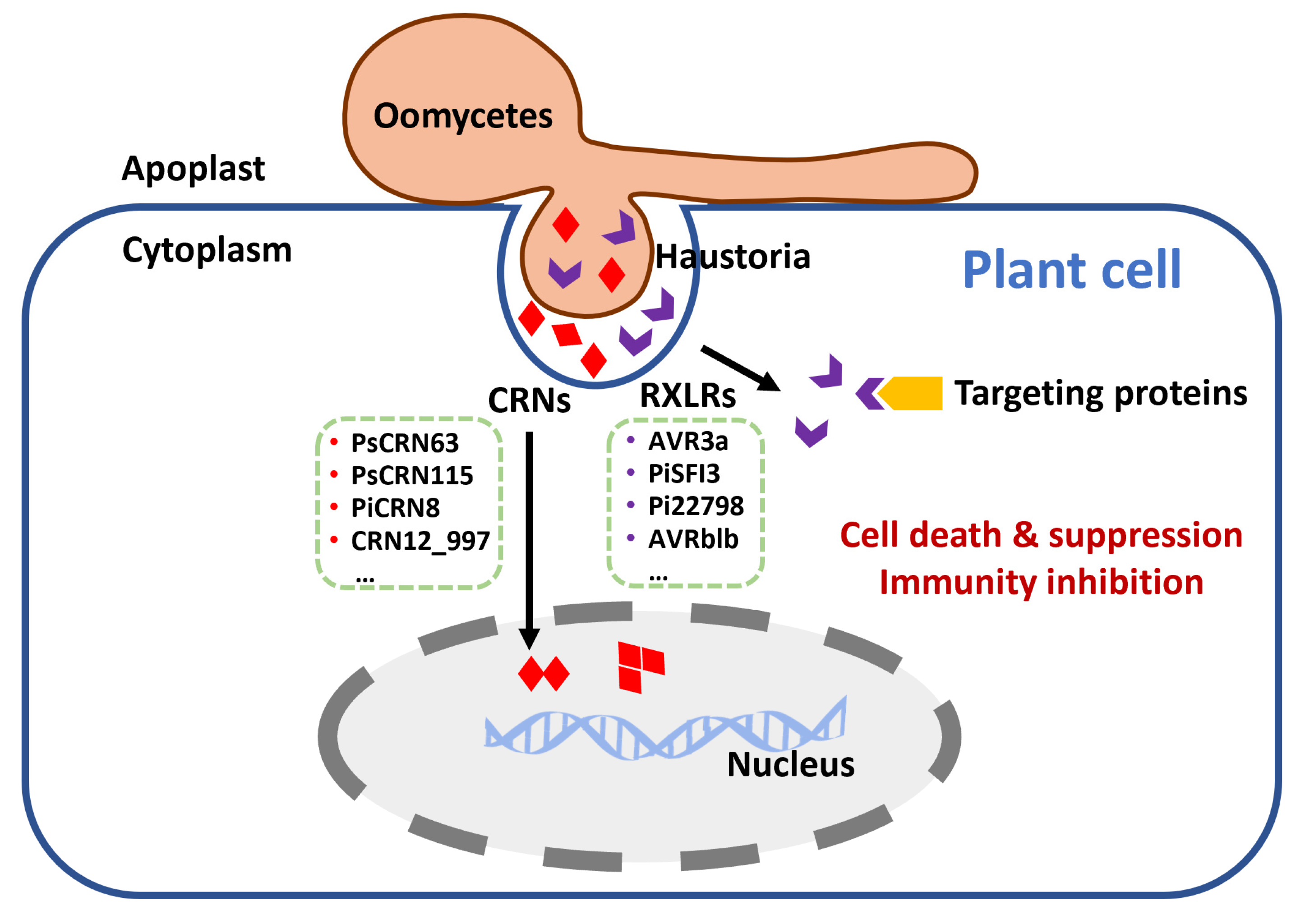 Horticulturae 09 00250 g002 Horticulturae 09 00250 g002