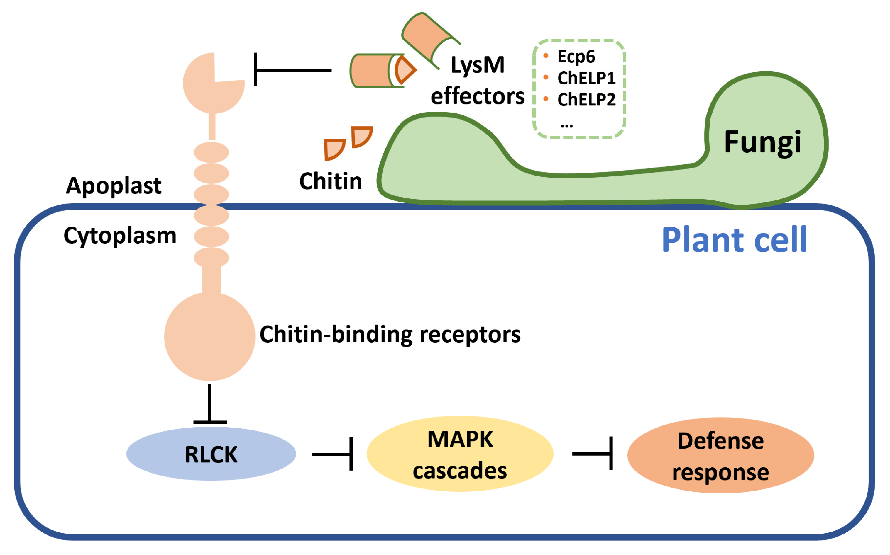 Horticulturae 09 00250 g003 Horticulturae 09 00250 g003