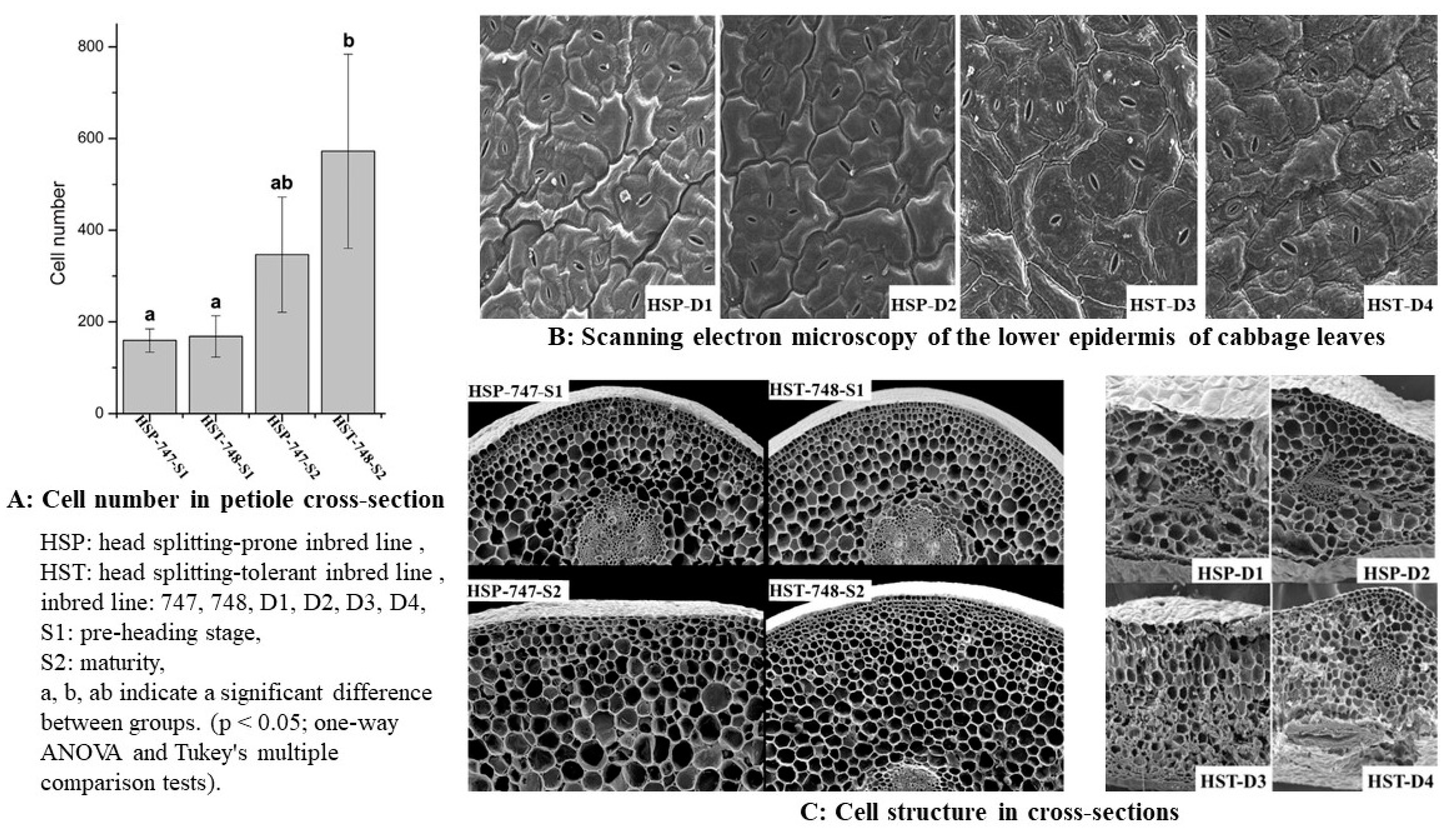 Horticulturae 09 00251 g001 550