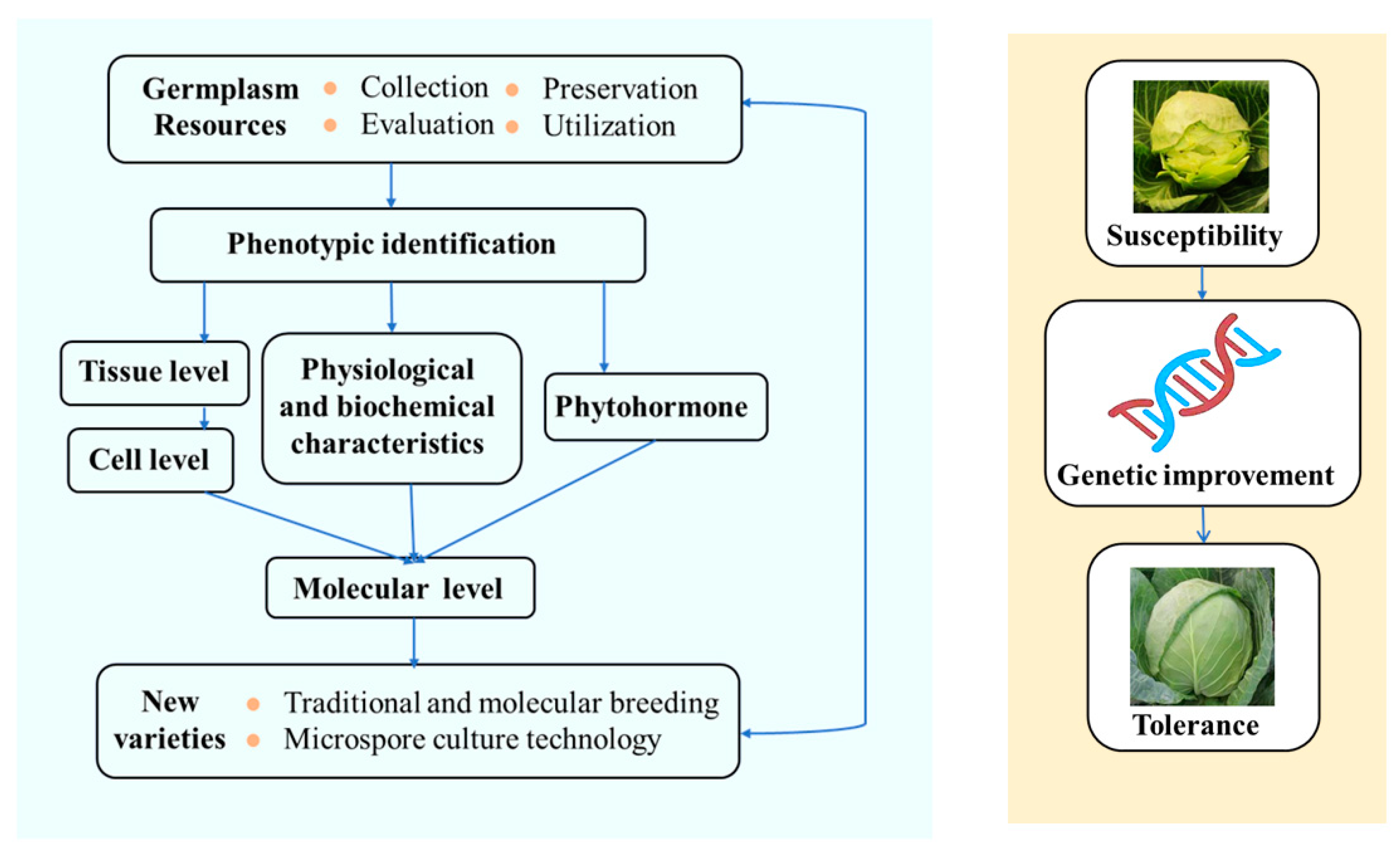 Horticulturae 09 00251 g003 550