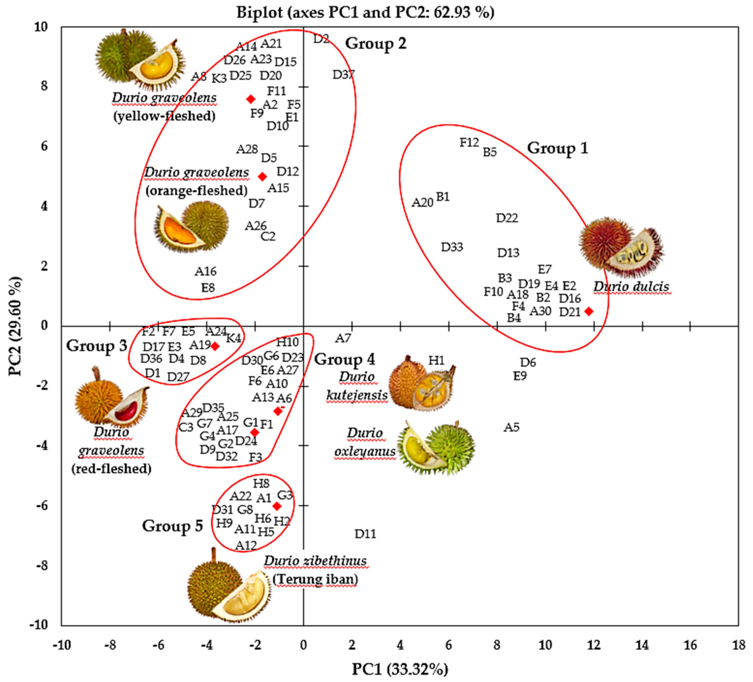 Horticulturae 09 00257 g003