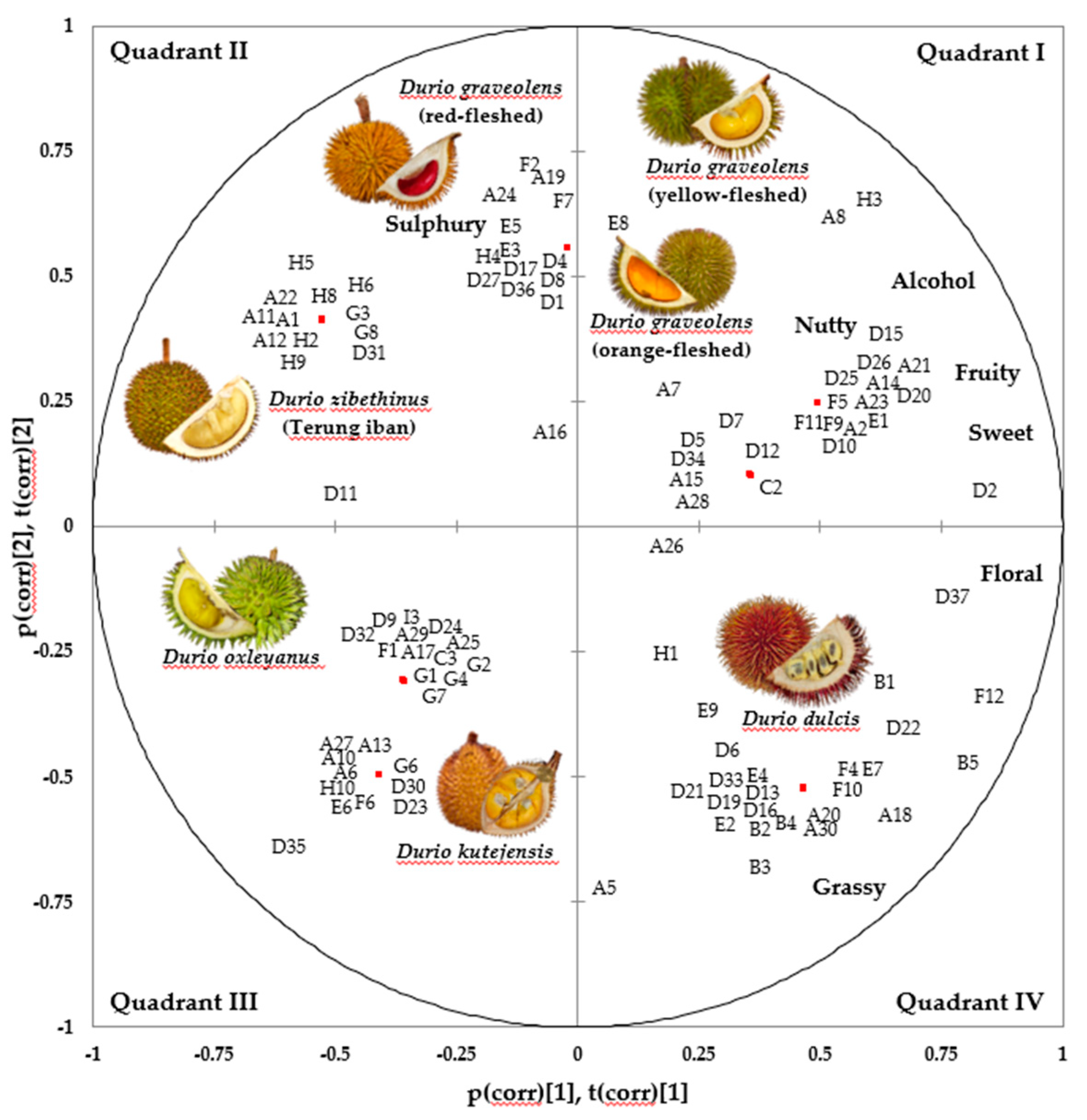 Horticulturae 09 00257 g005