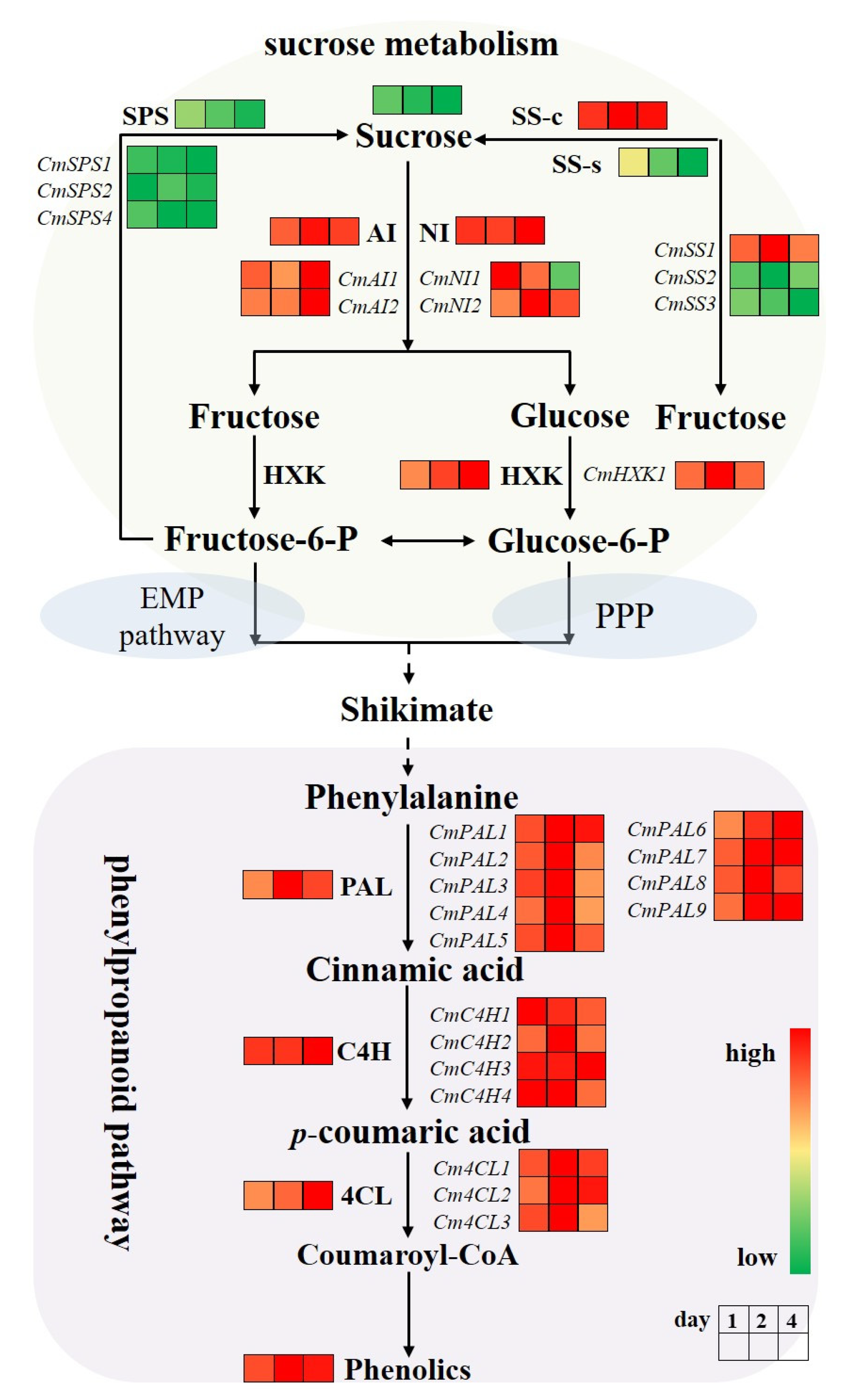 Horticulturae 09 00258 g007 Horticulturae 09 00258 g007