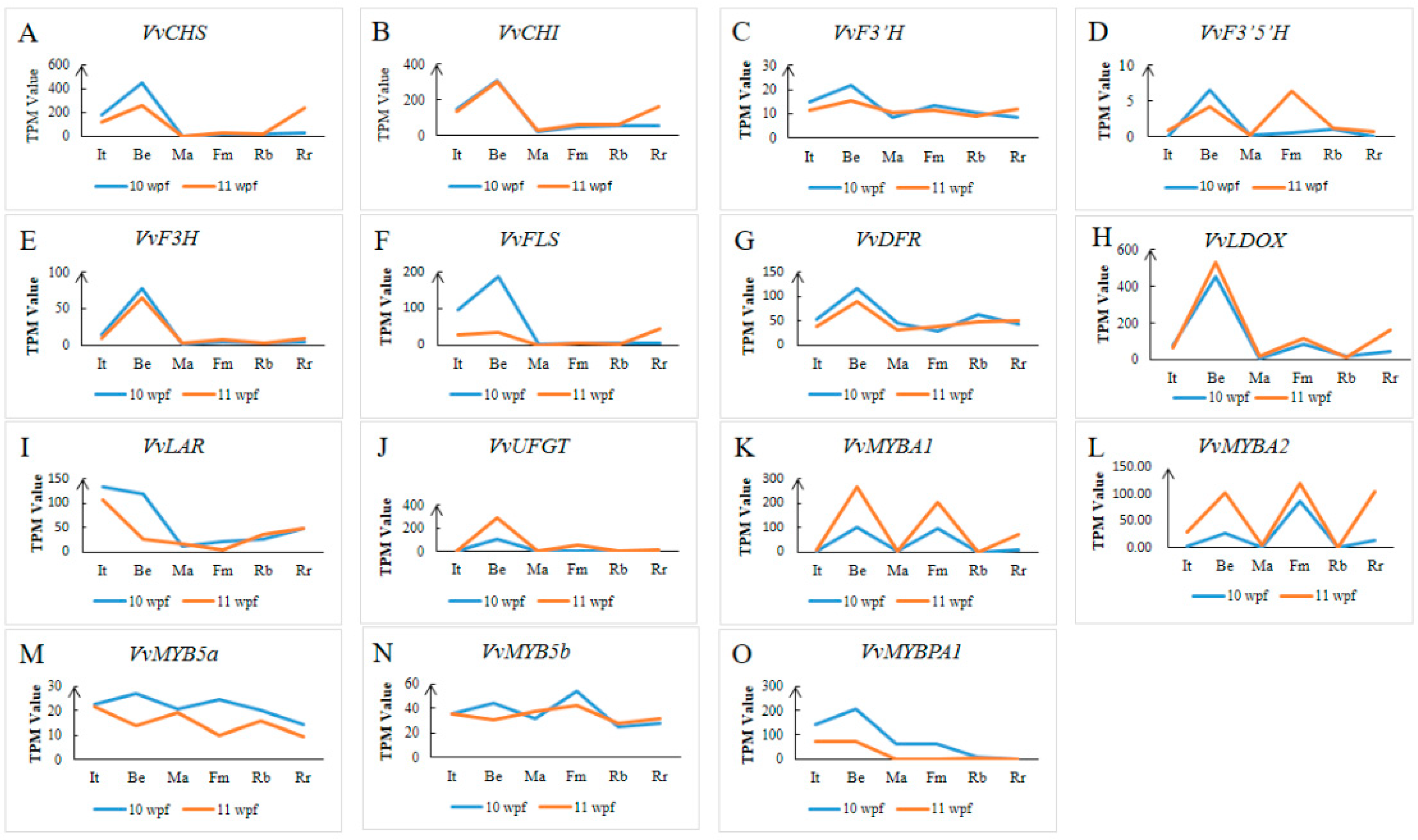 Horticulturae 09 00260 g005