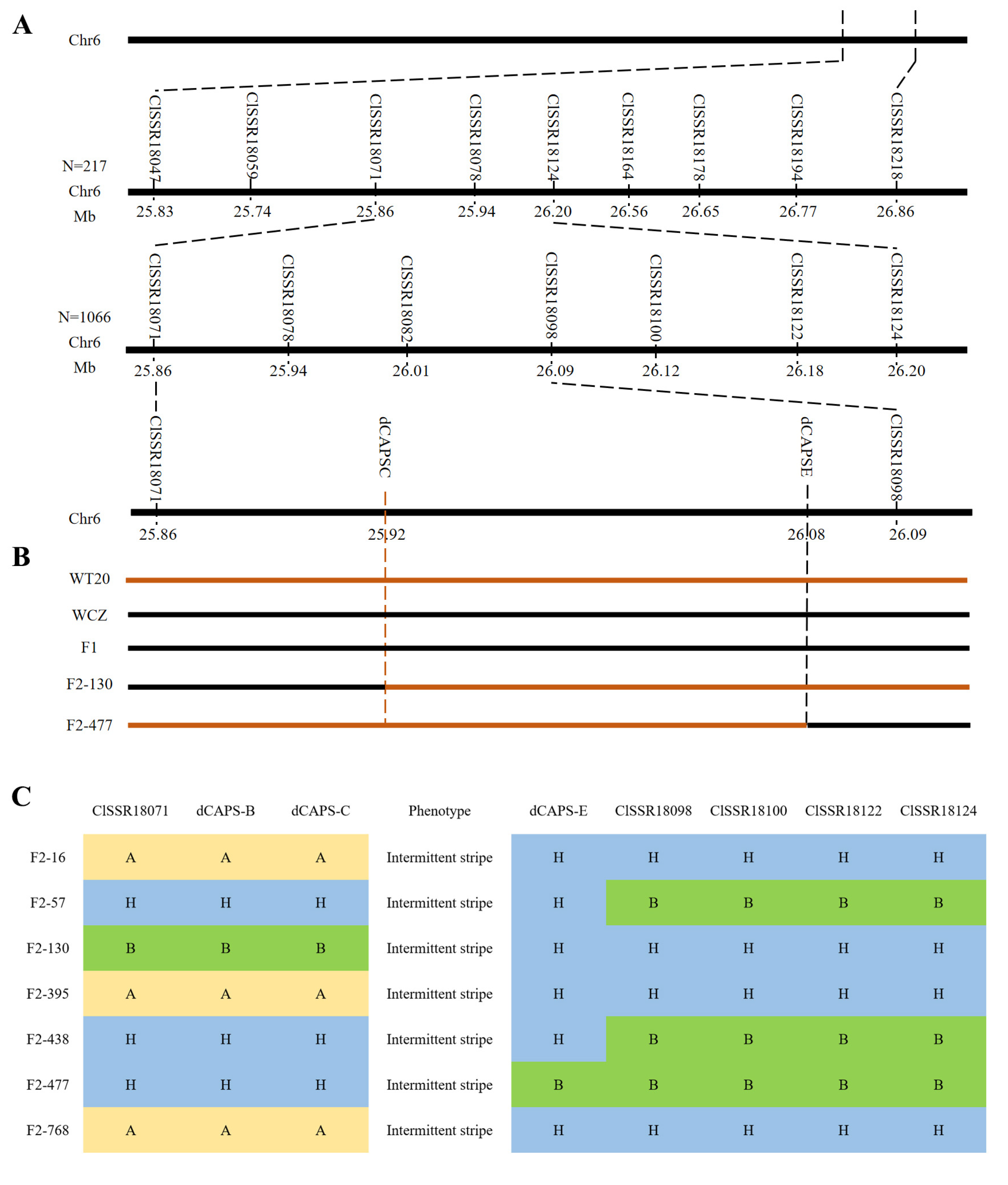 Horticulturae 09 00263 g002 Horticulturae 09 00263 g002