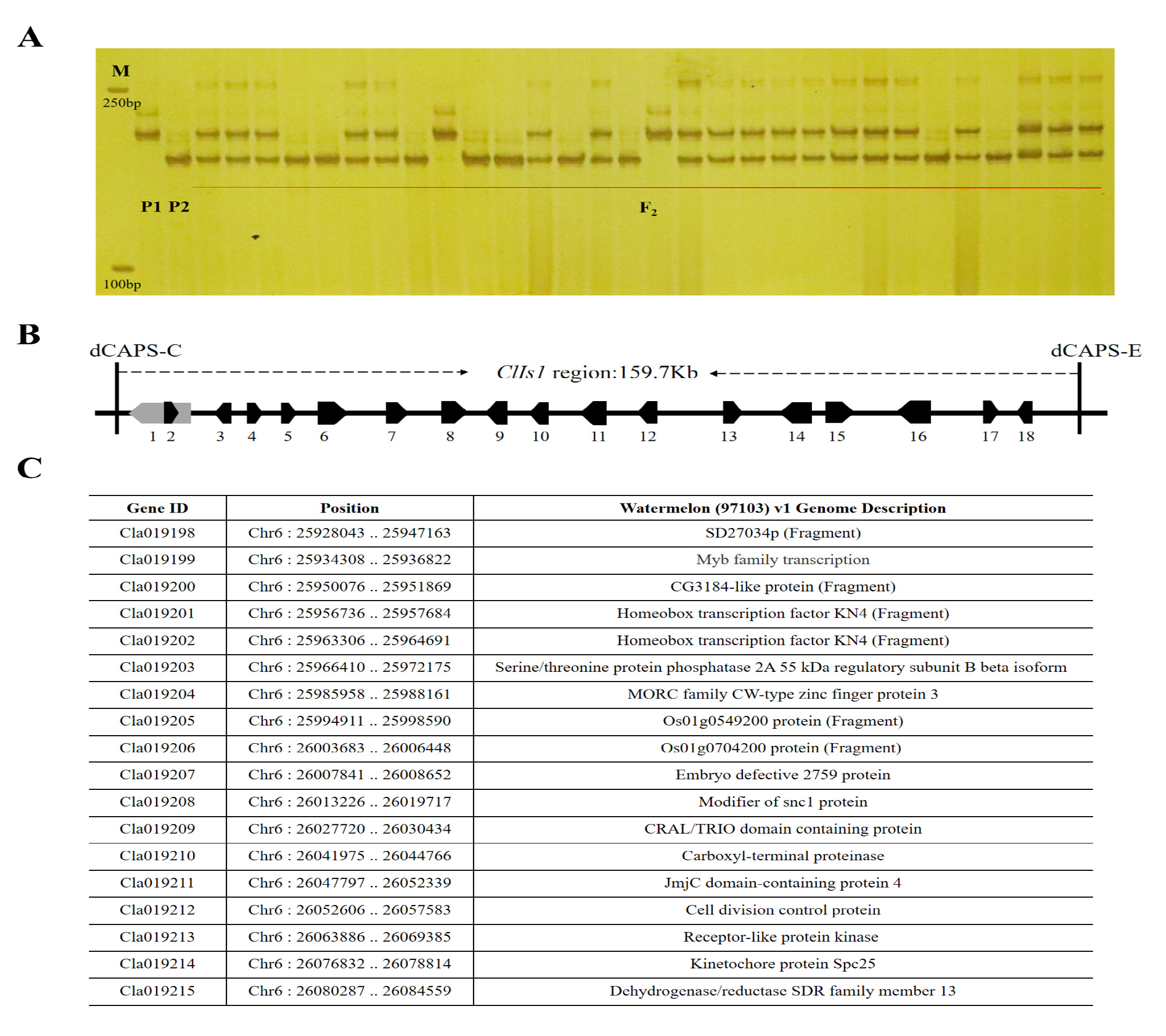 Horticulturae 09 00263 g003 Horticulturae 09 00263 g003