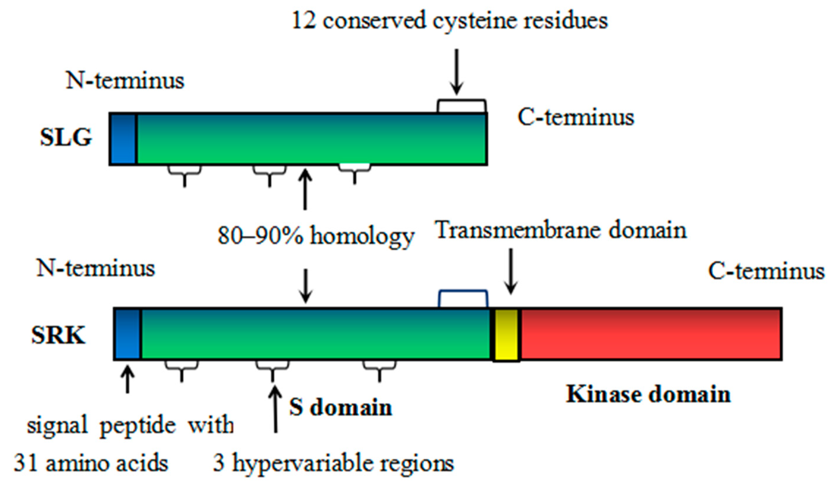 Horticulturae 09 00265 g001 Horticulturae 09 00265 g001