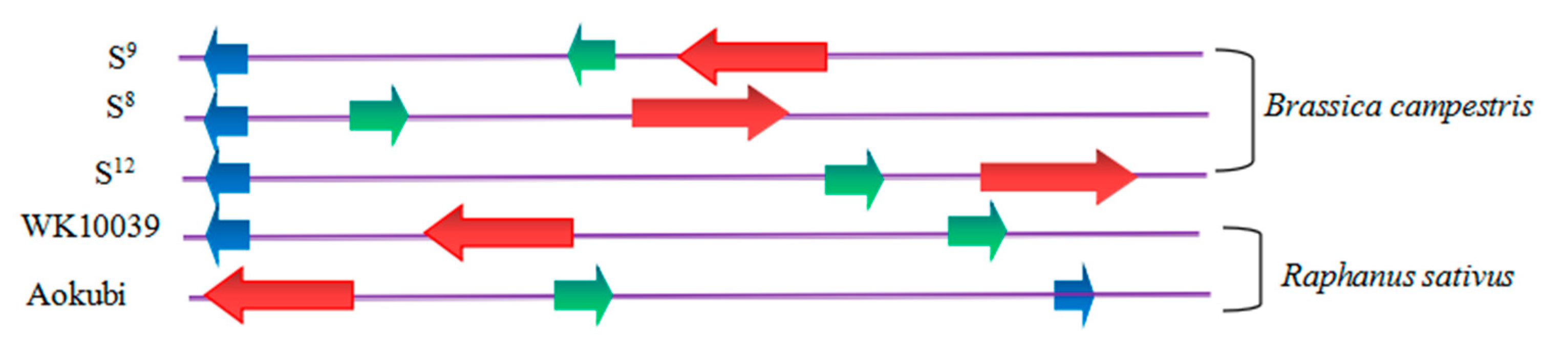 Horticulturae 09 00265 g002 Horticulturae 09 00265 g002