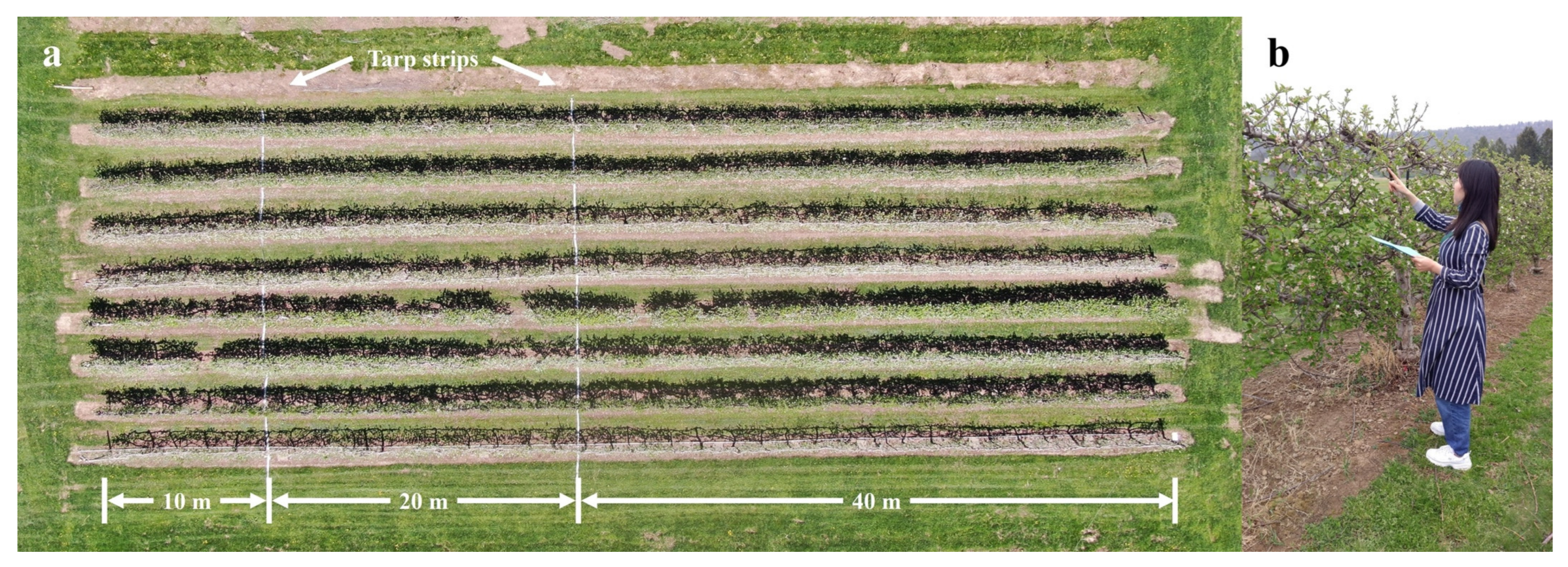 Horticulturae 09 00266 g002 Horticulturae 09 00266 g002