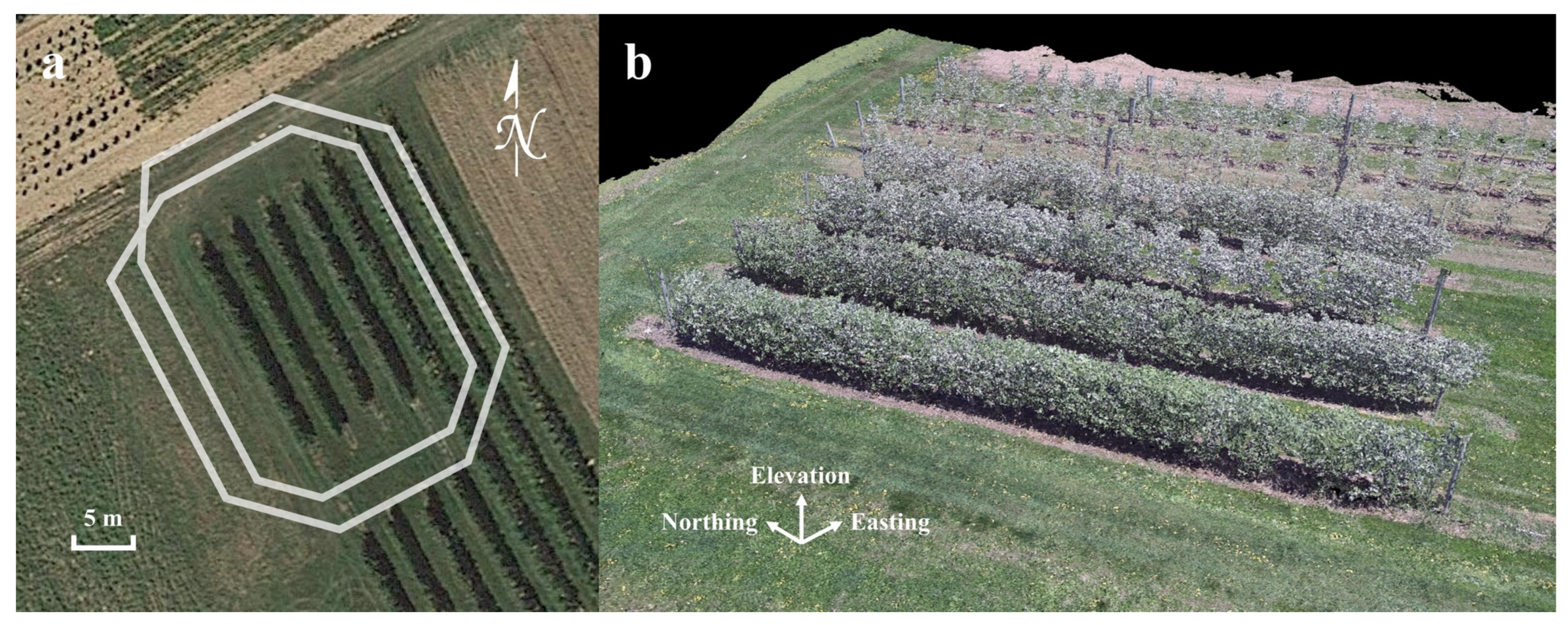 Horticulturae 09 00266 g0a1 Horticulturae 09 00266 g0a1