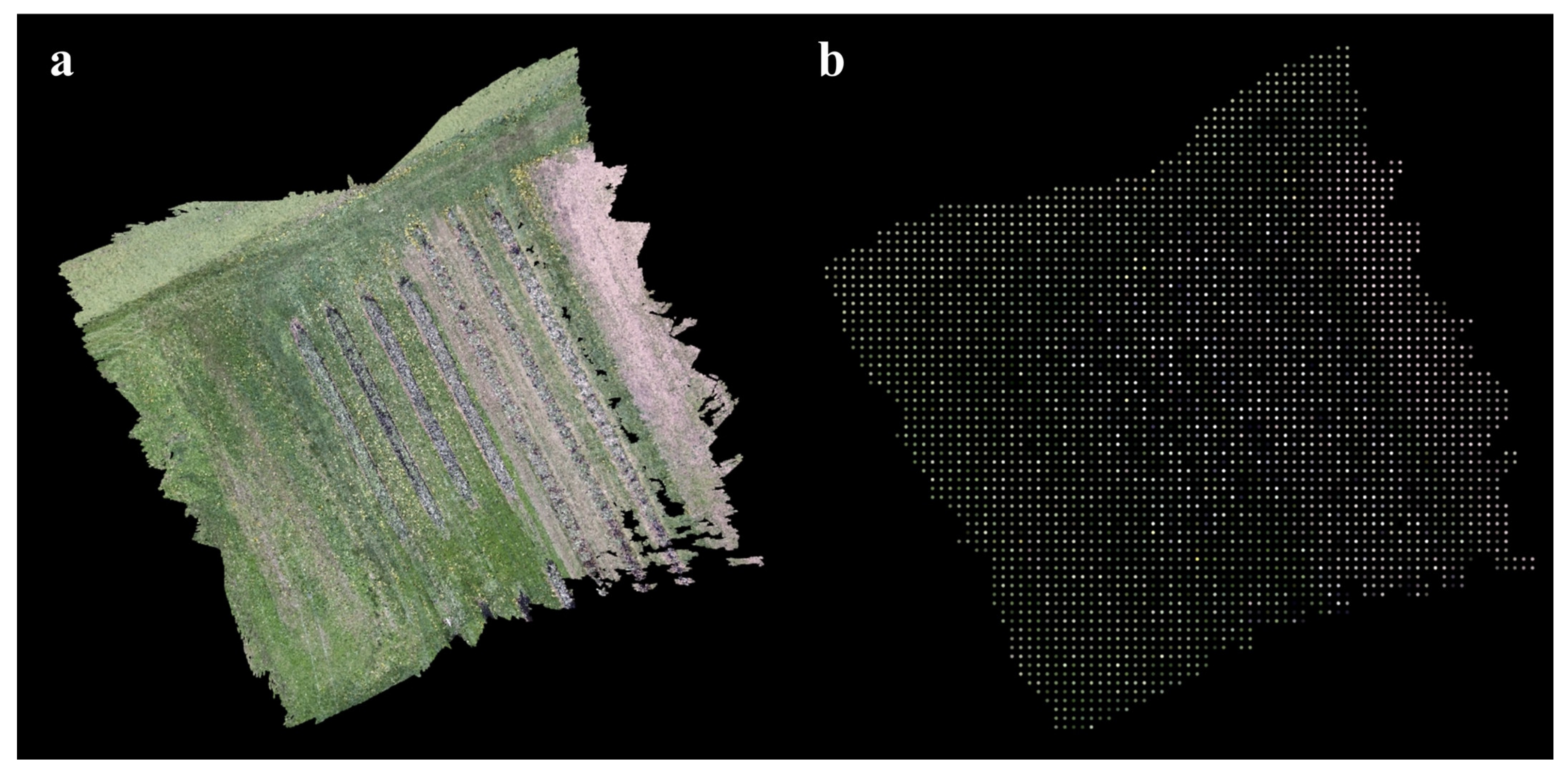 Horticulturae 09 00266 g0a2 Horticulturae 09 00266 g0a2