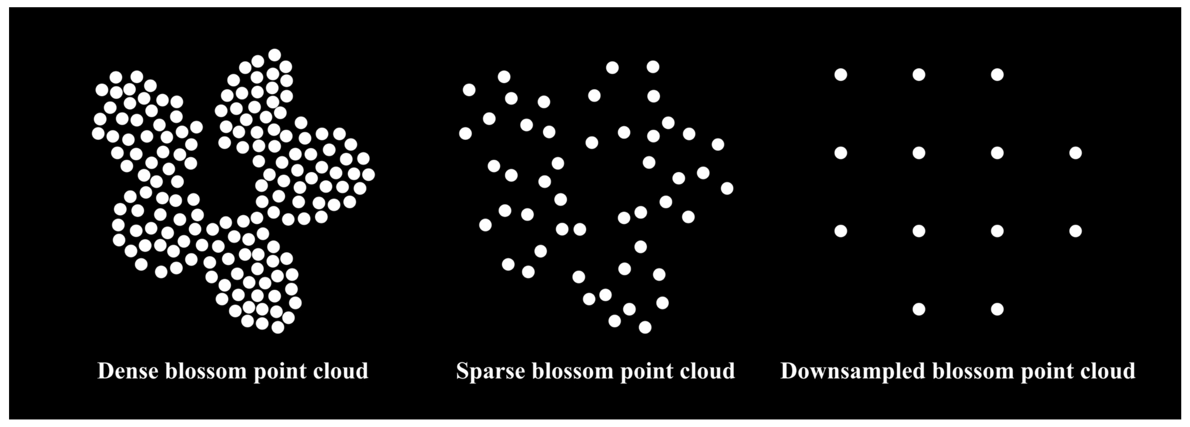 Horticulturae 09 00266 g0a7 Horticulturae 09 00266 g0a7