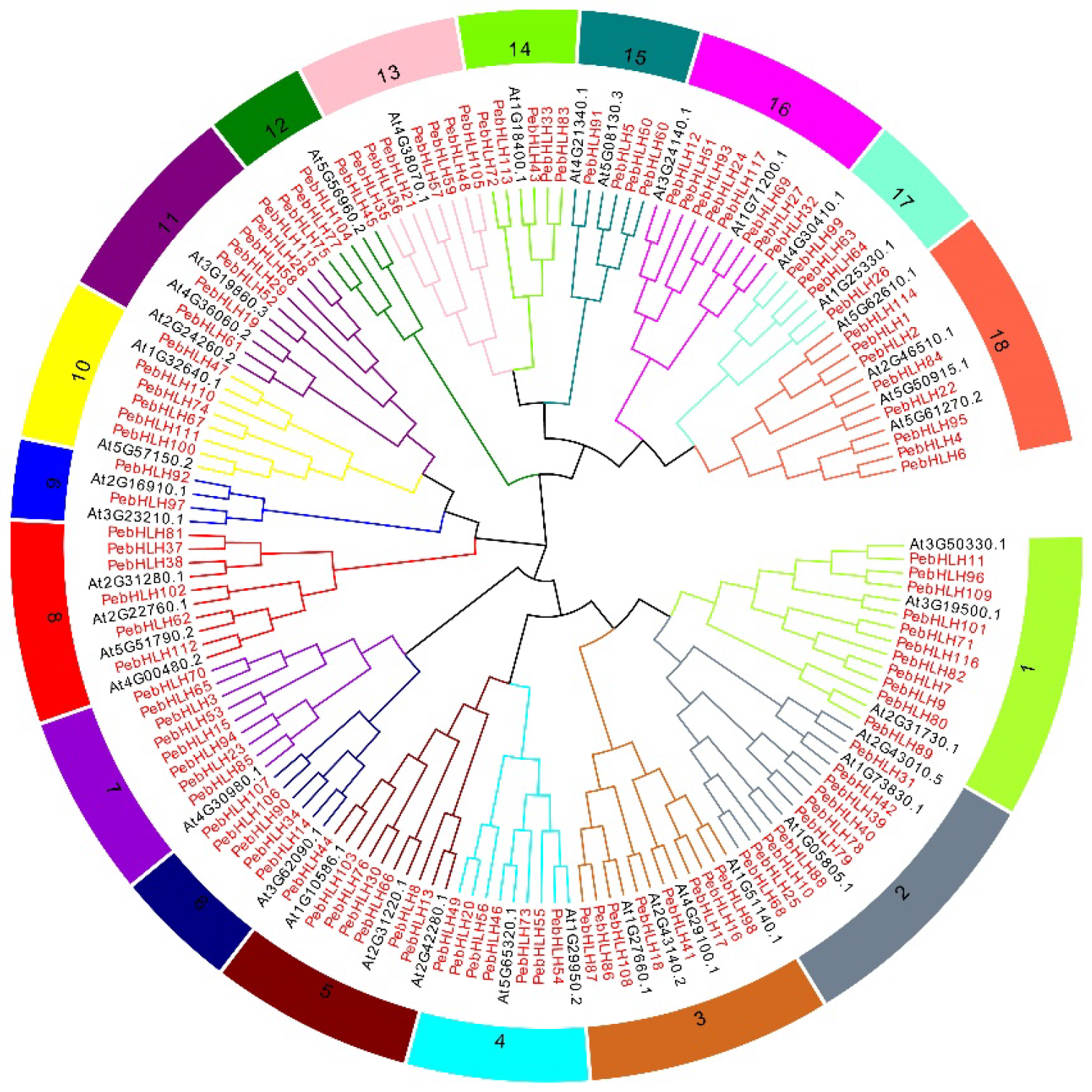 Horticulturae 09 00272 g001 Horticulturae 09 00272 g001