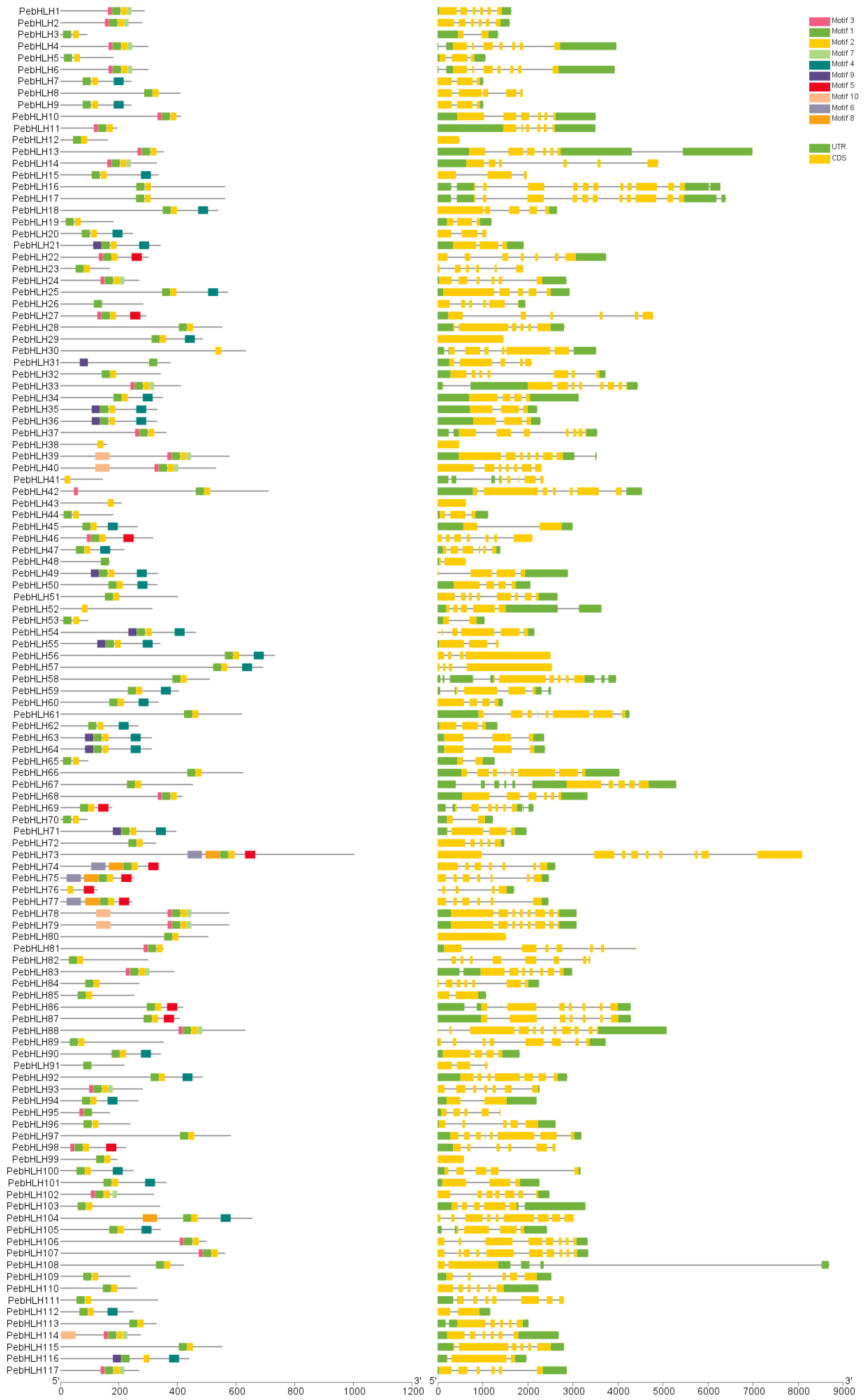 Horticulturae 09 00272 g002 Horticulturae 09 00272 g002