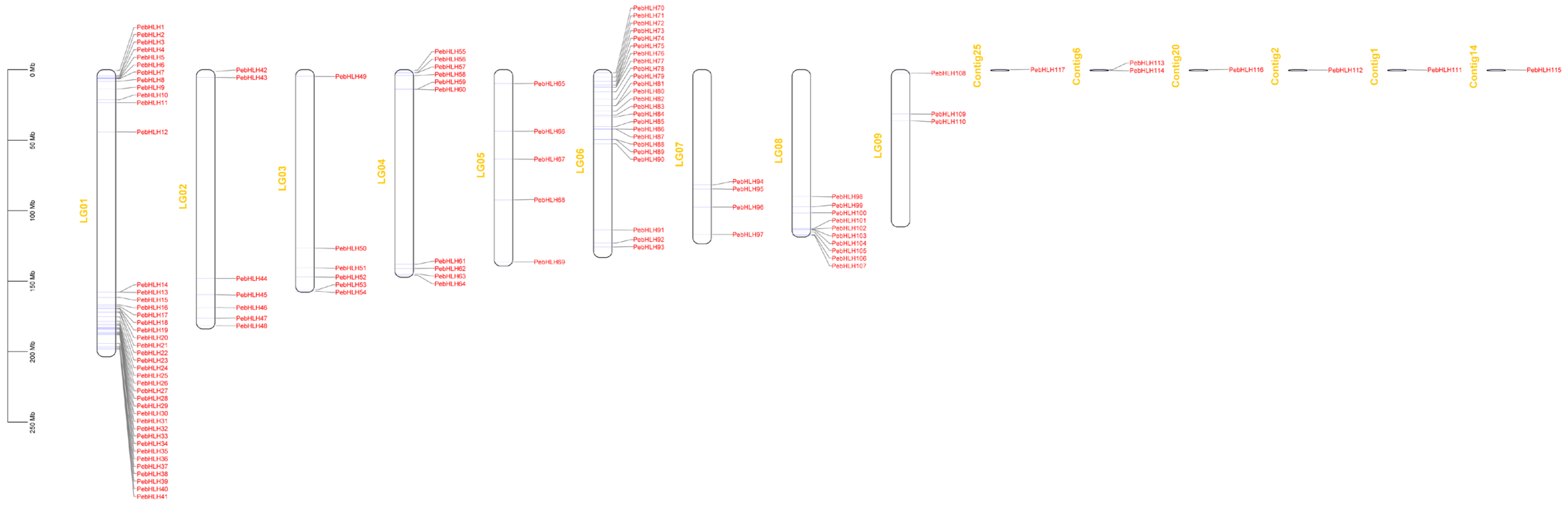 Horticulturae 09 00272 g003 Horticulturae 09 00272 g003