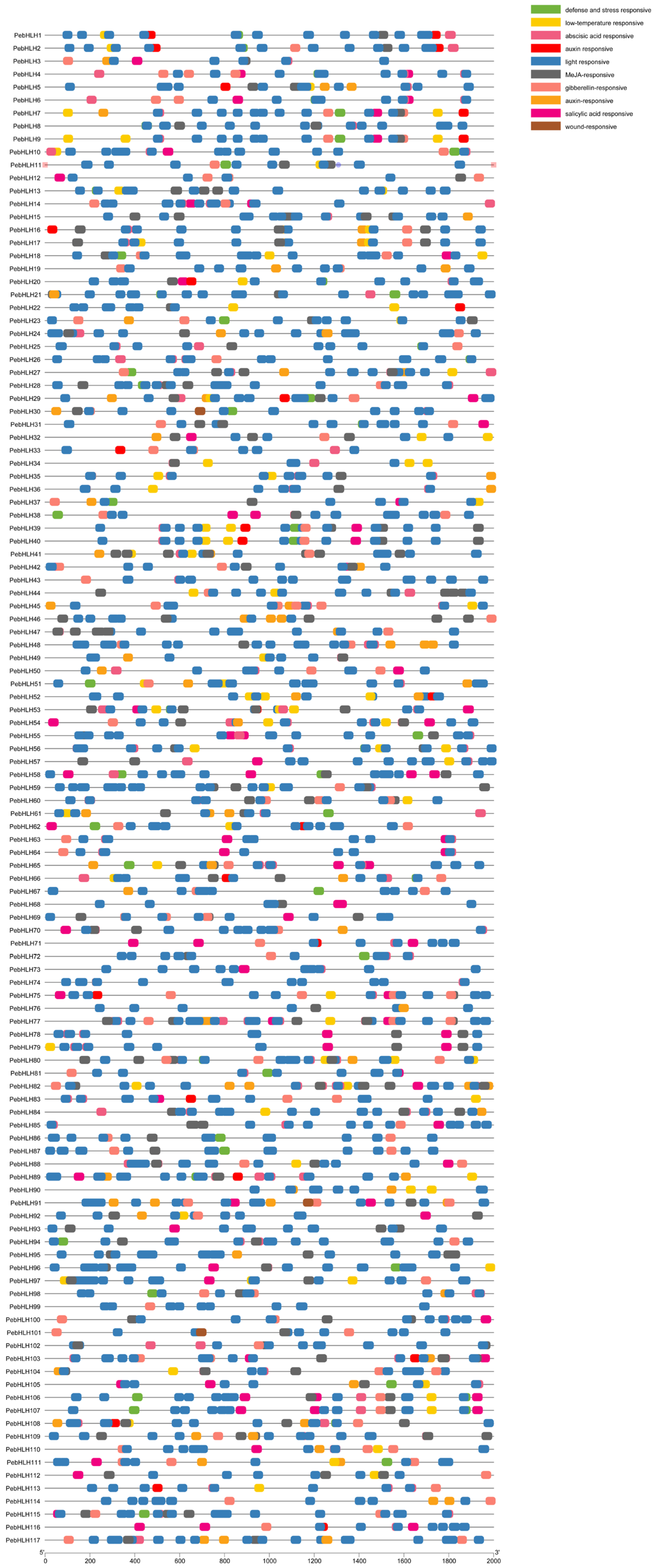 Horticulturae 09 00272 g004 Horticulturae 09 00272 g004