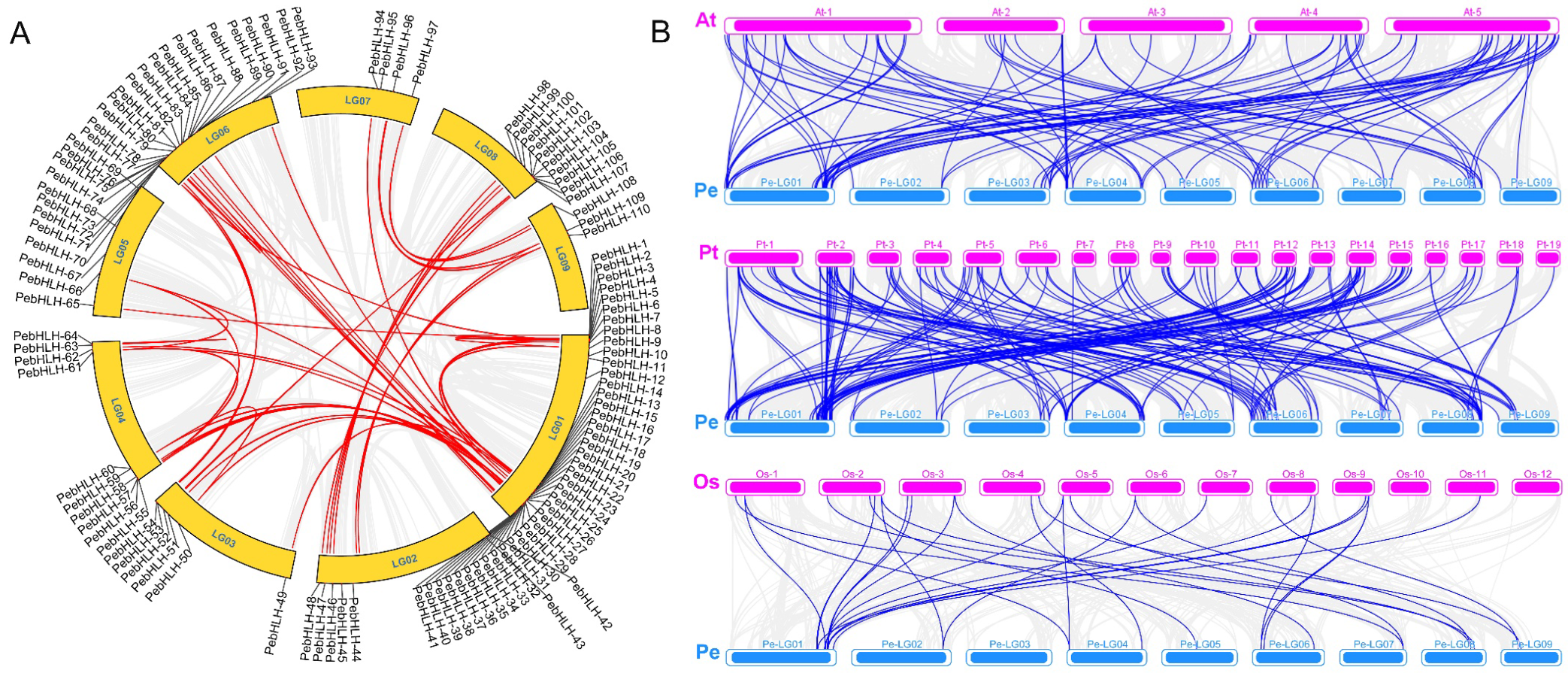 Horticulturae 09 00272 g006 Horticulturae 09 00272 g006