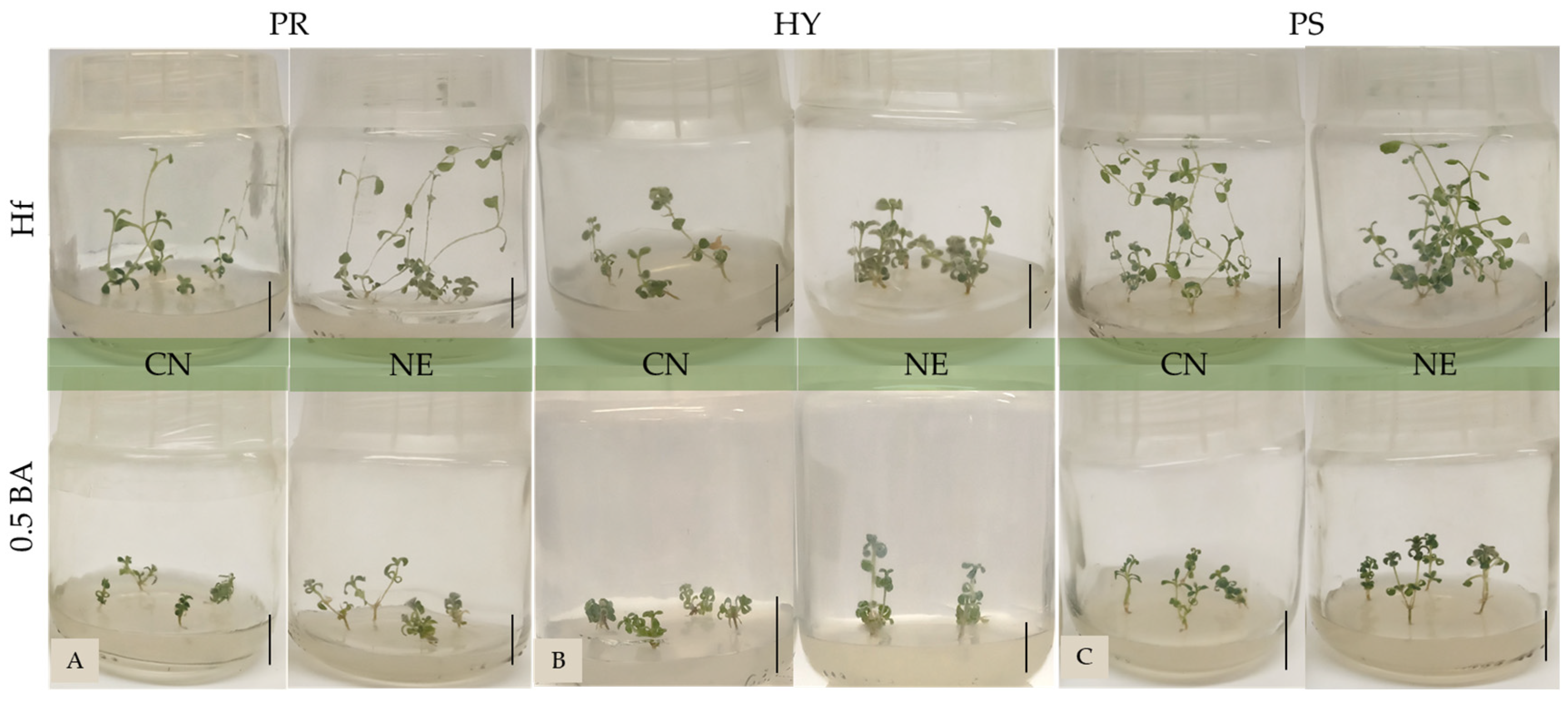 Horticulturae 09 00273 g002 Horticulturae 09 00273 g002