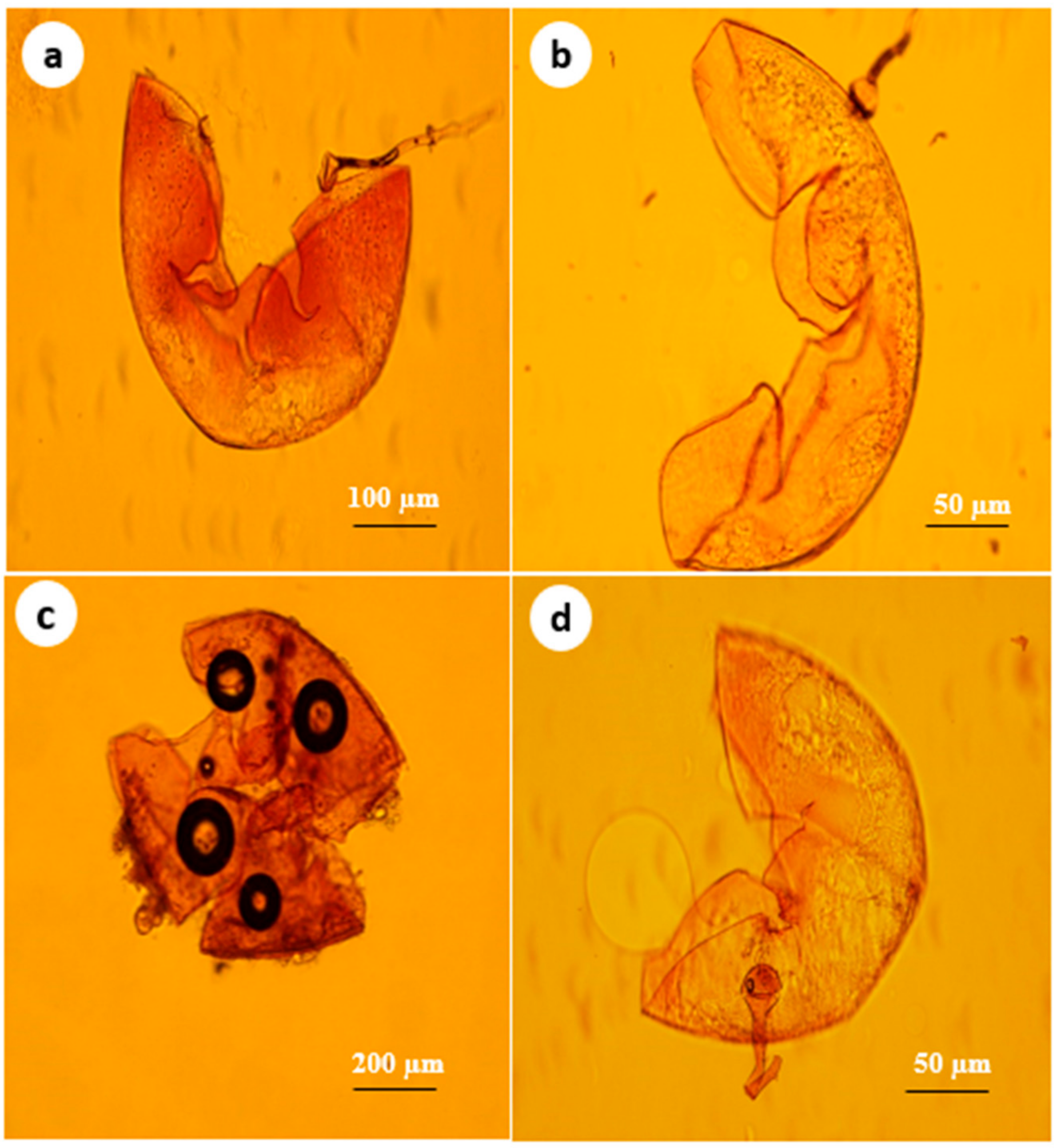 Horticulturae 09 00276 g001 Horticulturae 09 00276 g001