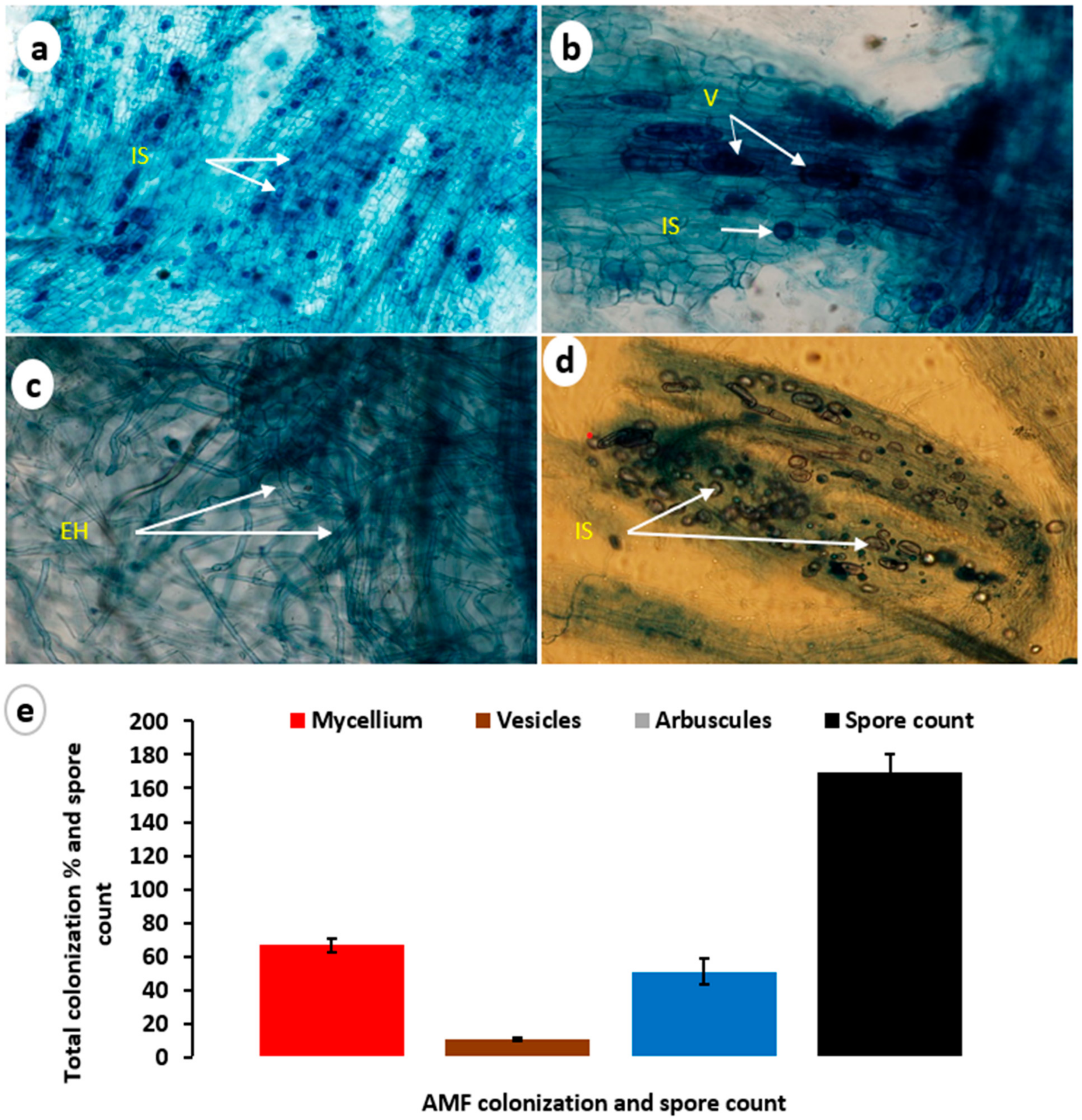 Horticulturae 09 00276 g002 Horticulturae 09 00276 g002