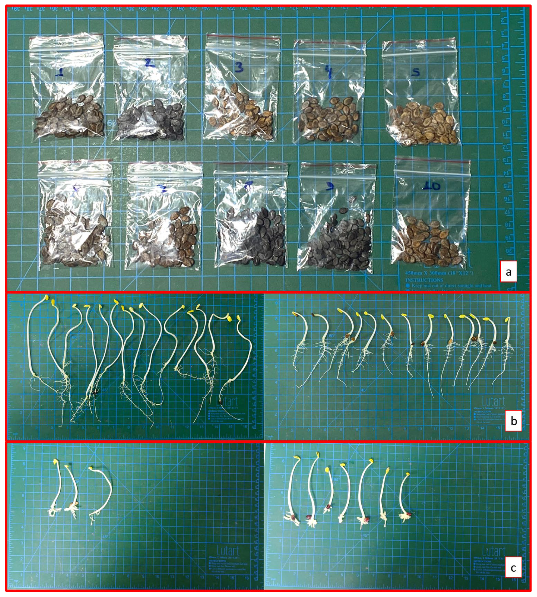 Horticulturae 09 00280 g001 Horticulturae 09 00280 g001