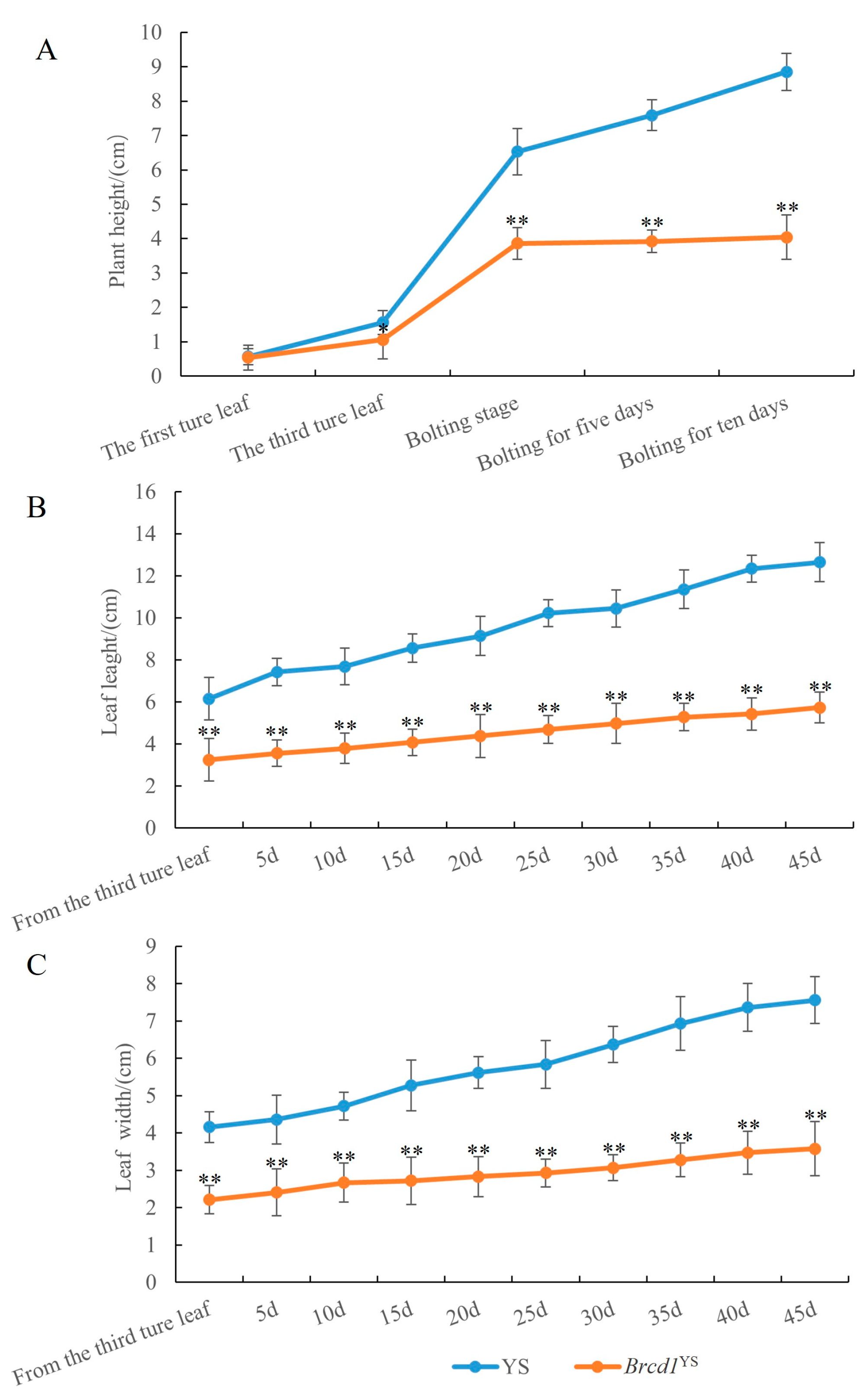 Horticulturae 09 00282 g002