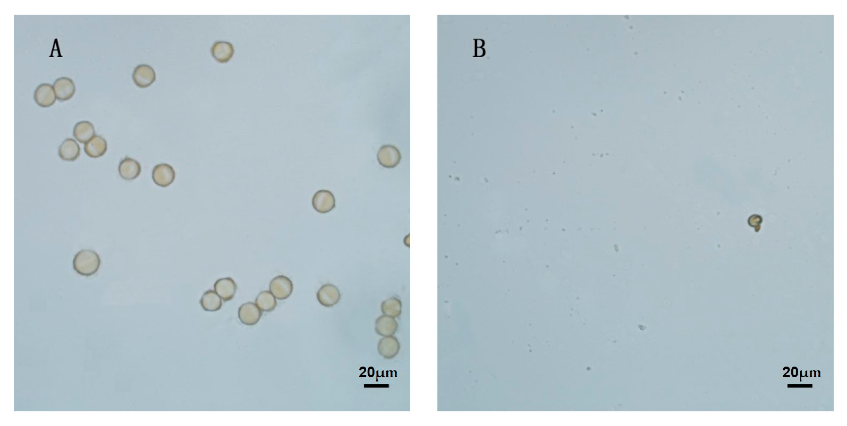 Horticulturae 09 00282 g004