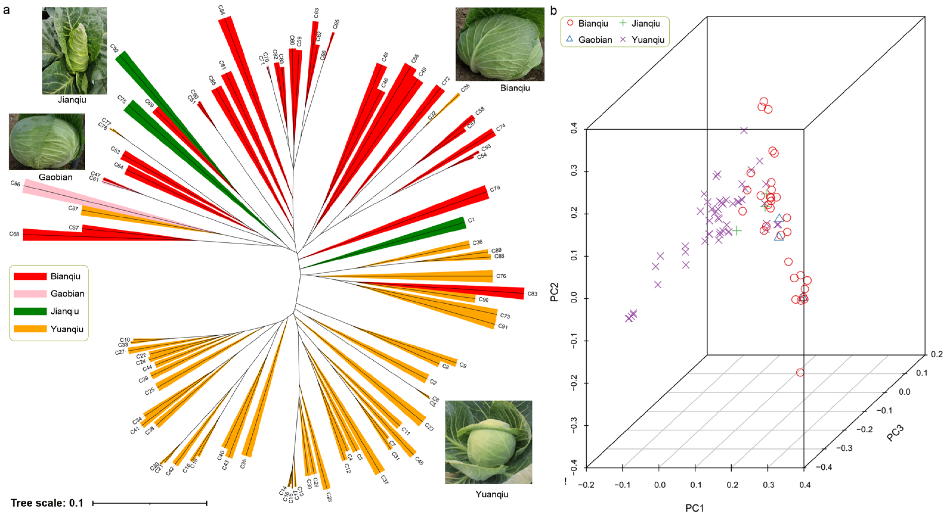 Horticulturae 09 00283 g001