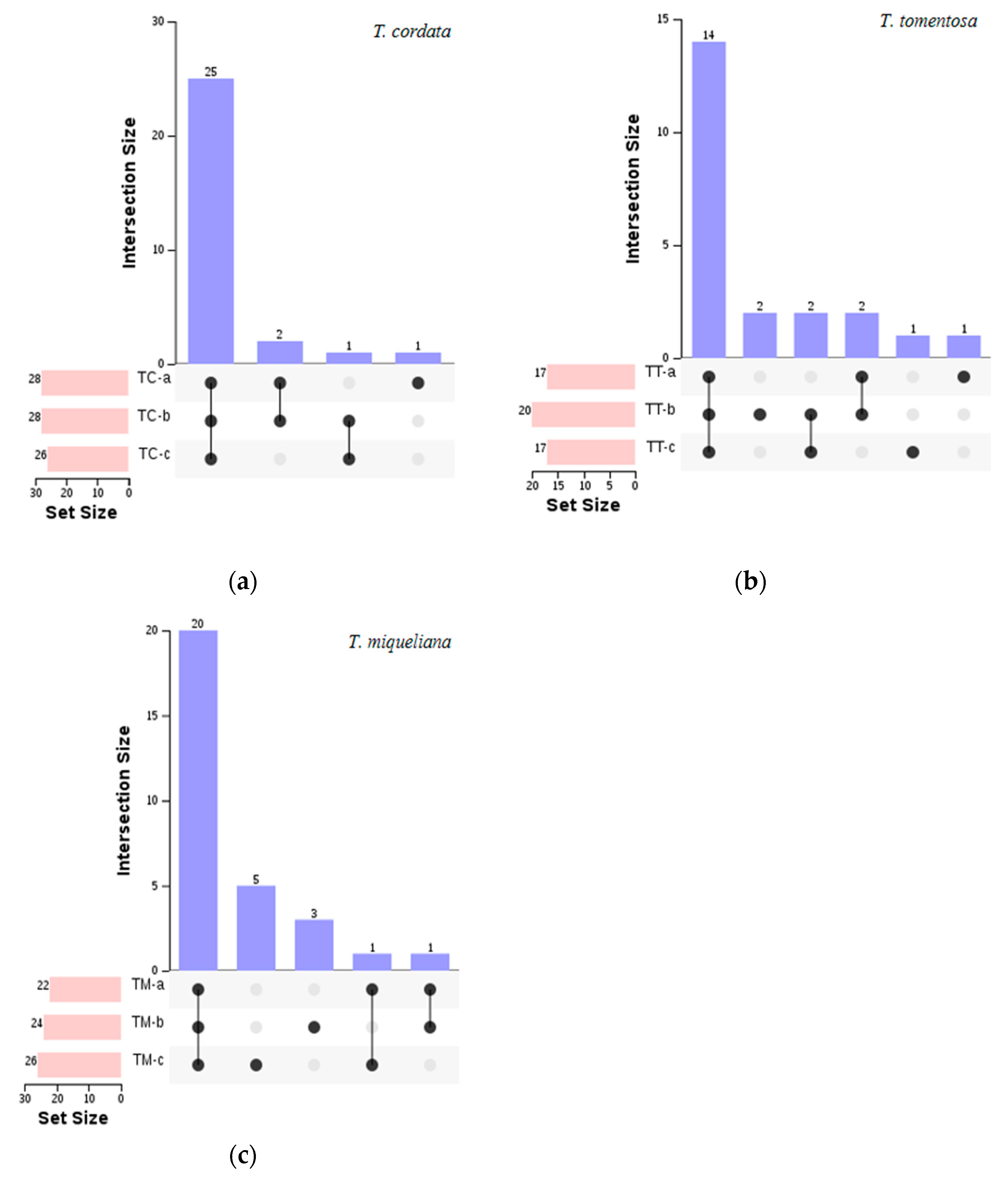 Horticulturae 09 00286 g002