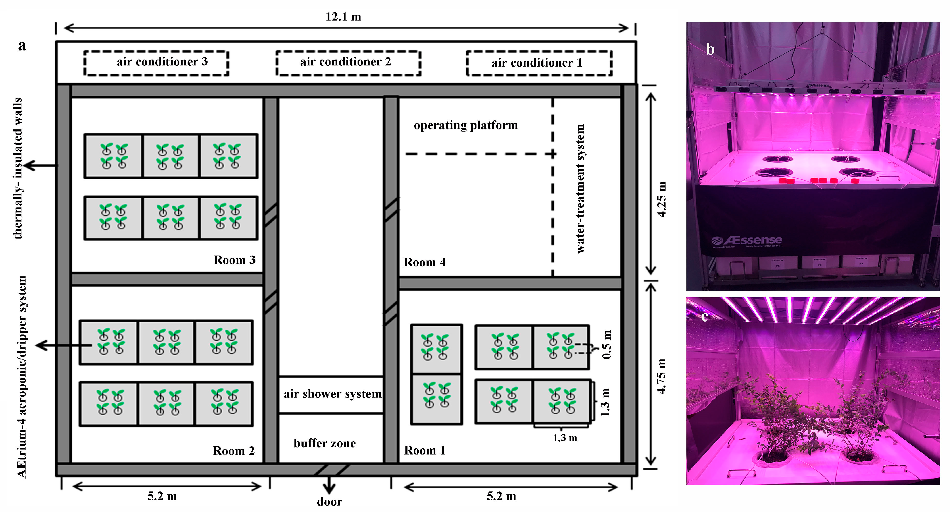 Horticulturae 09 00287 g001