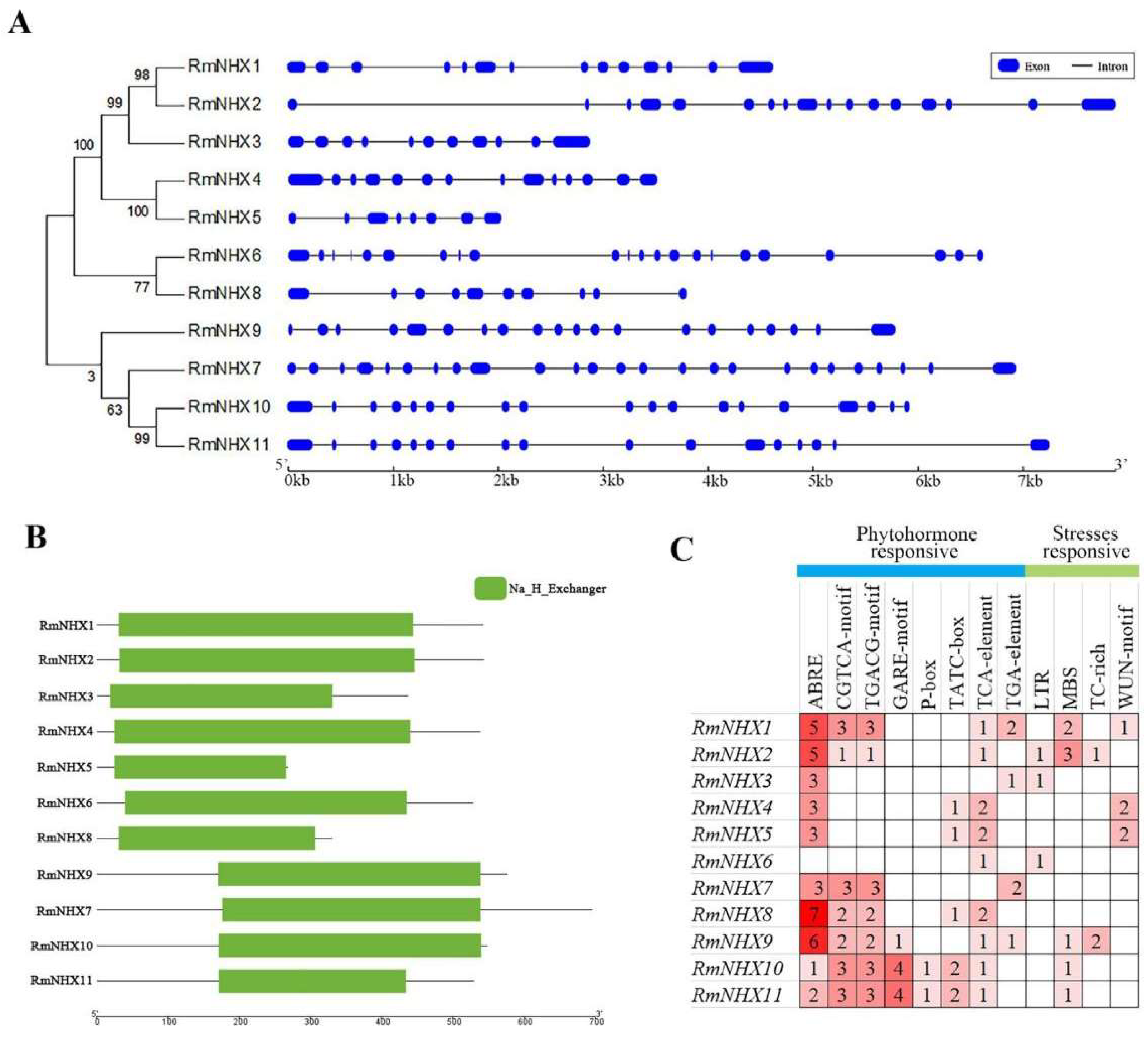 Horticulturae 09 00290 g002 Horticulturae 09 00290 g002
