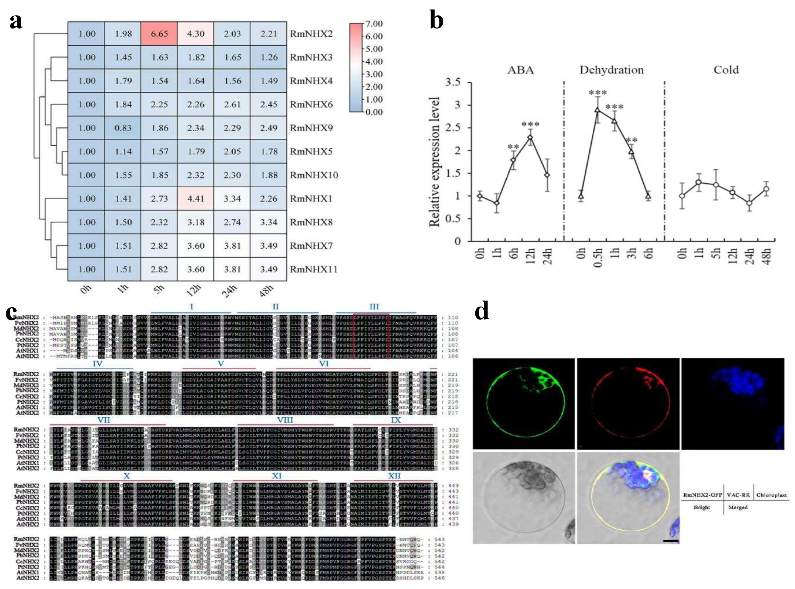 Horticulturae 09 00290 g003 Horticulturae 09 00290 g003