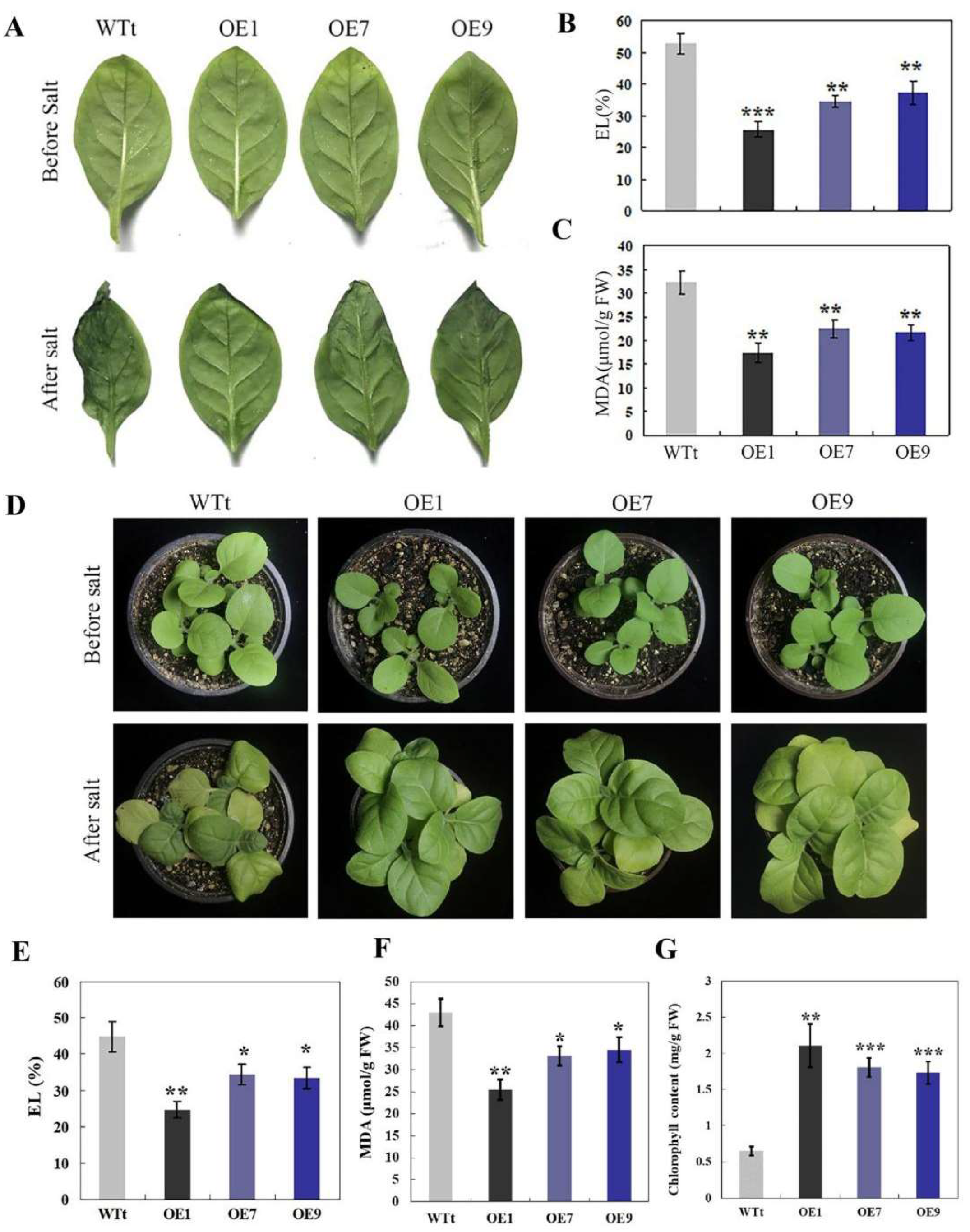 Horticulturae 09 00290 g004 Horticulturae 09 00290 g004