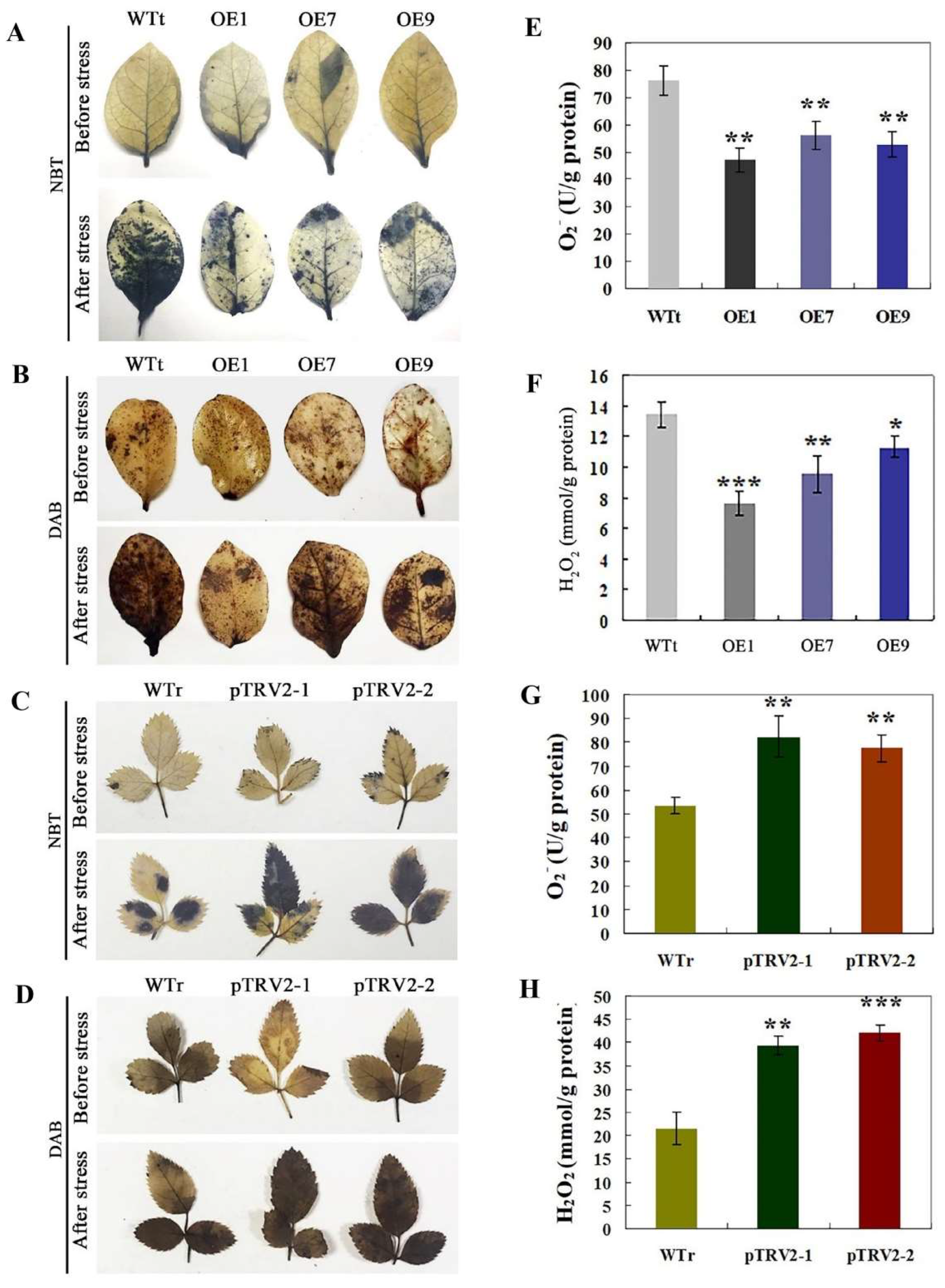 Horticulturae 09 00290 g006 Horticulturae 09 00290 g006