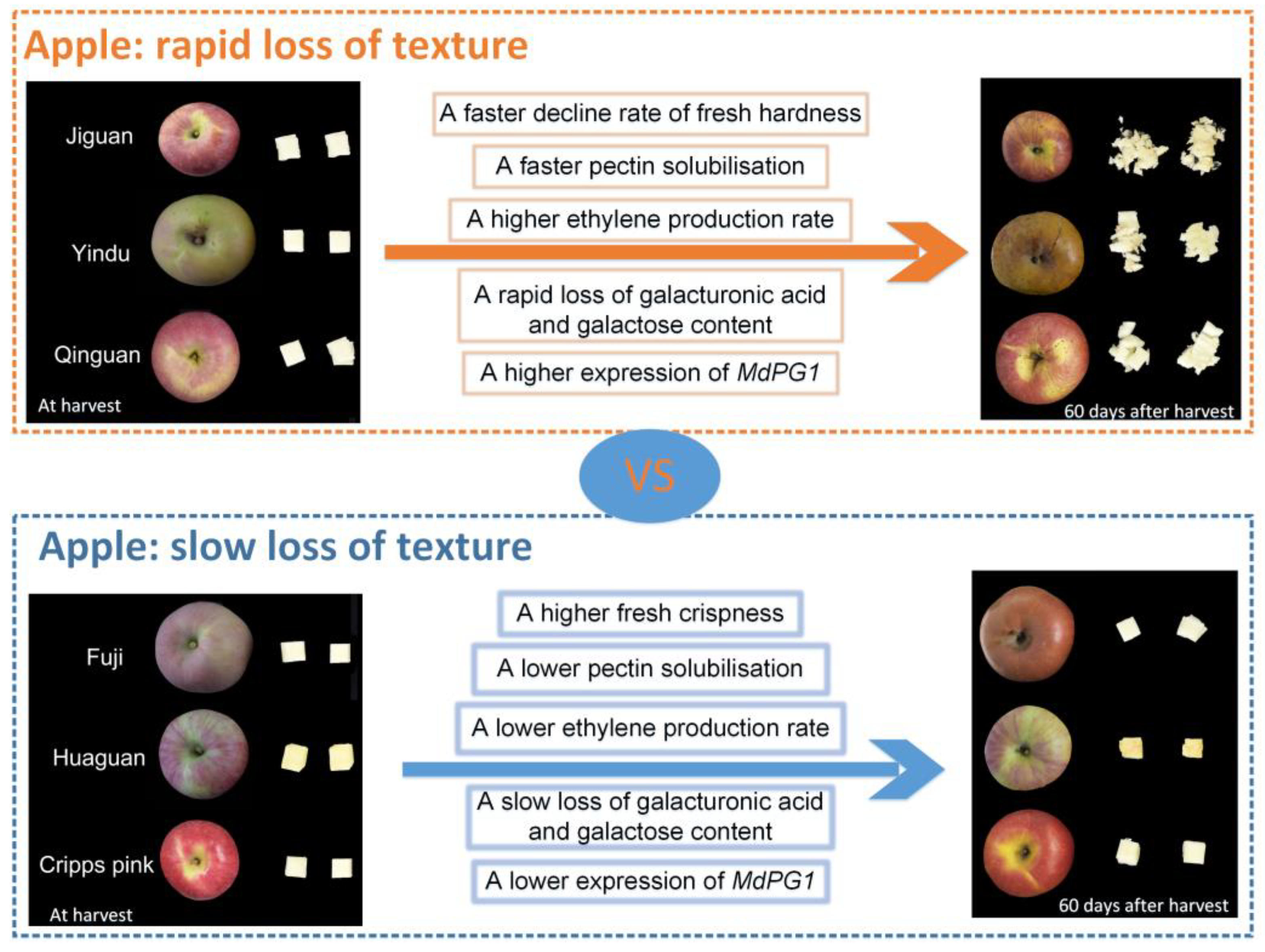 Horticulturae 09 00292 g007