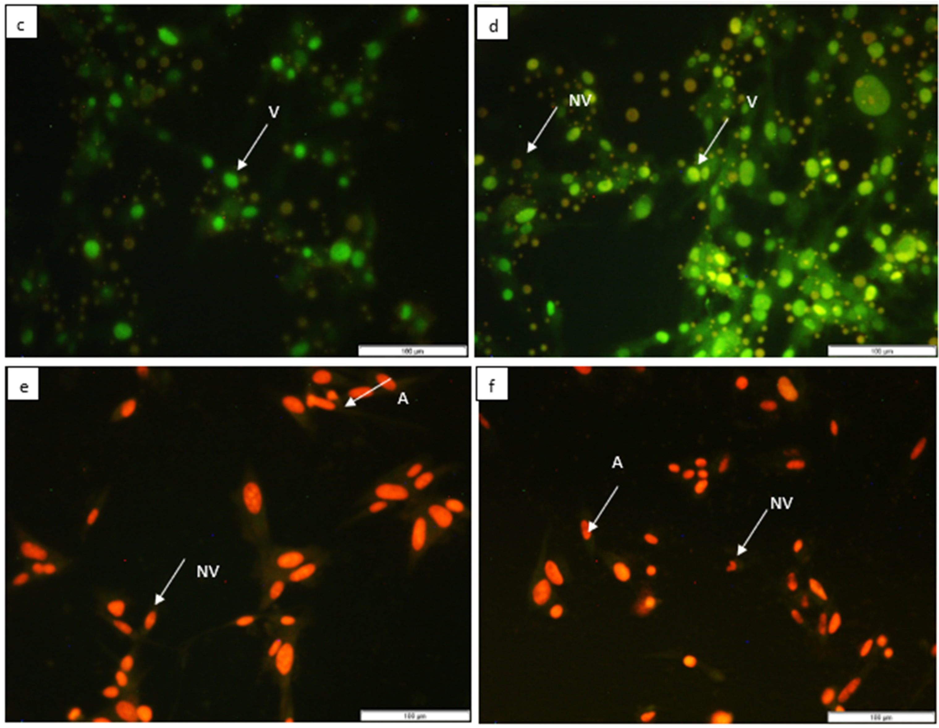 Horticulturae 09 00305 g004b