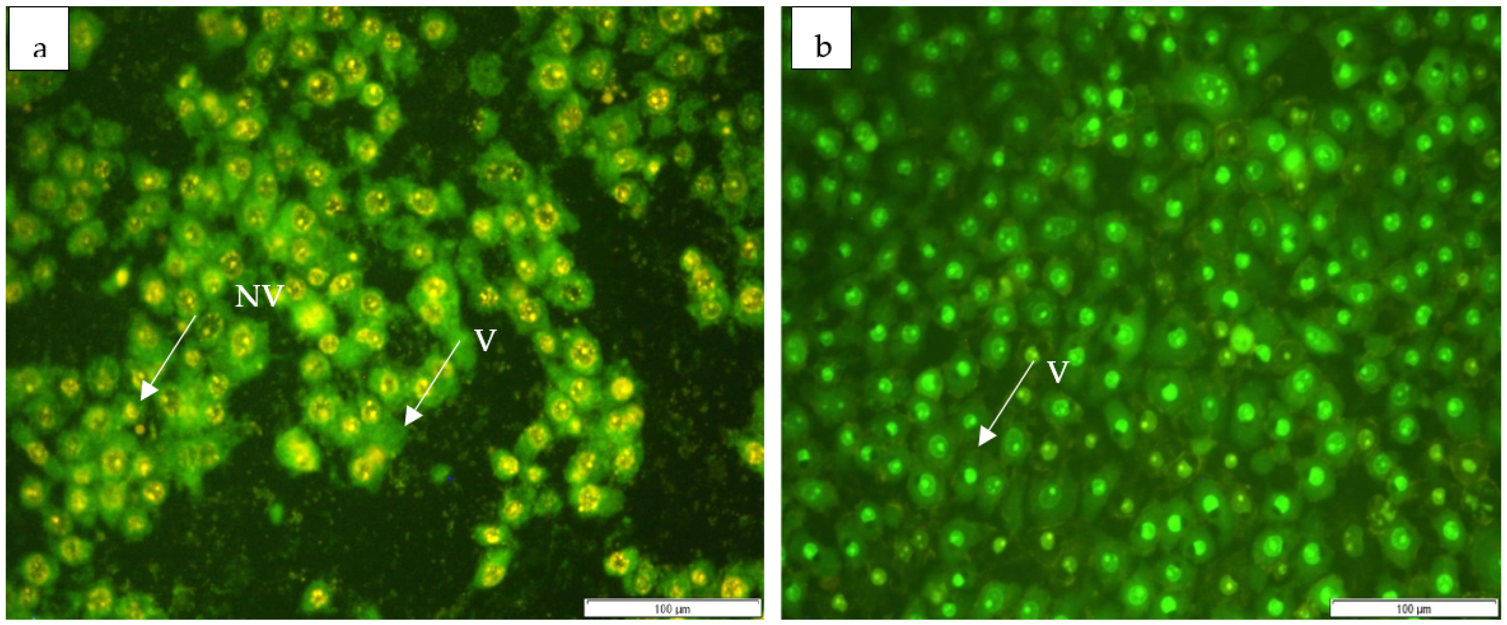 Horticulturae 09 00305 g005a