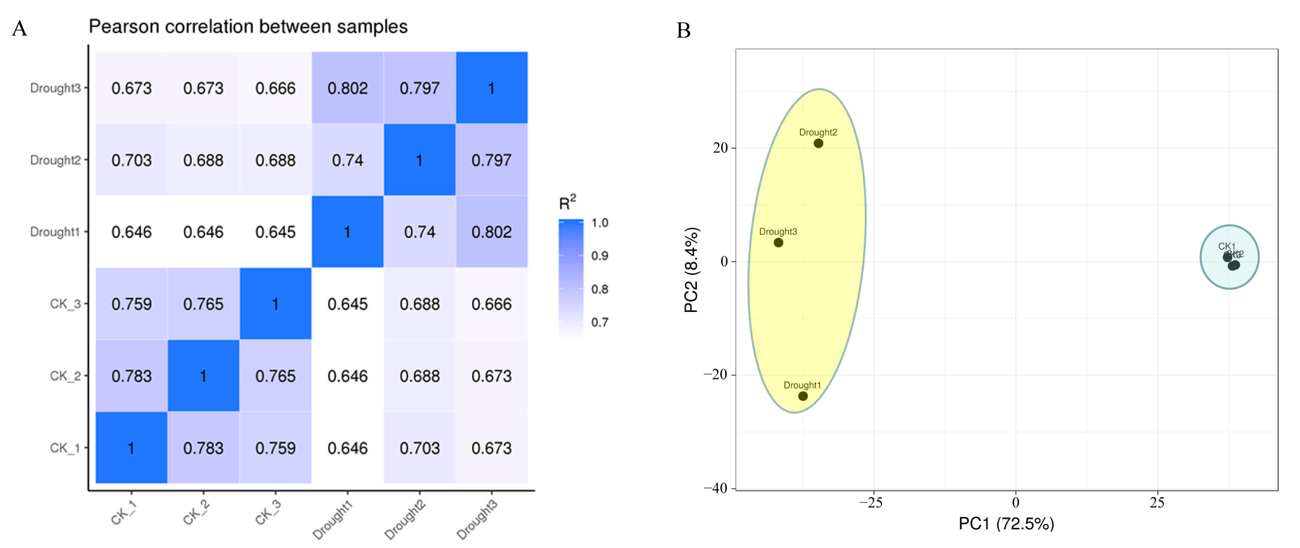 Horticulturae 09 00307 g003
