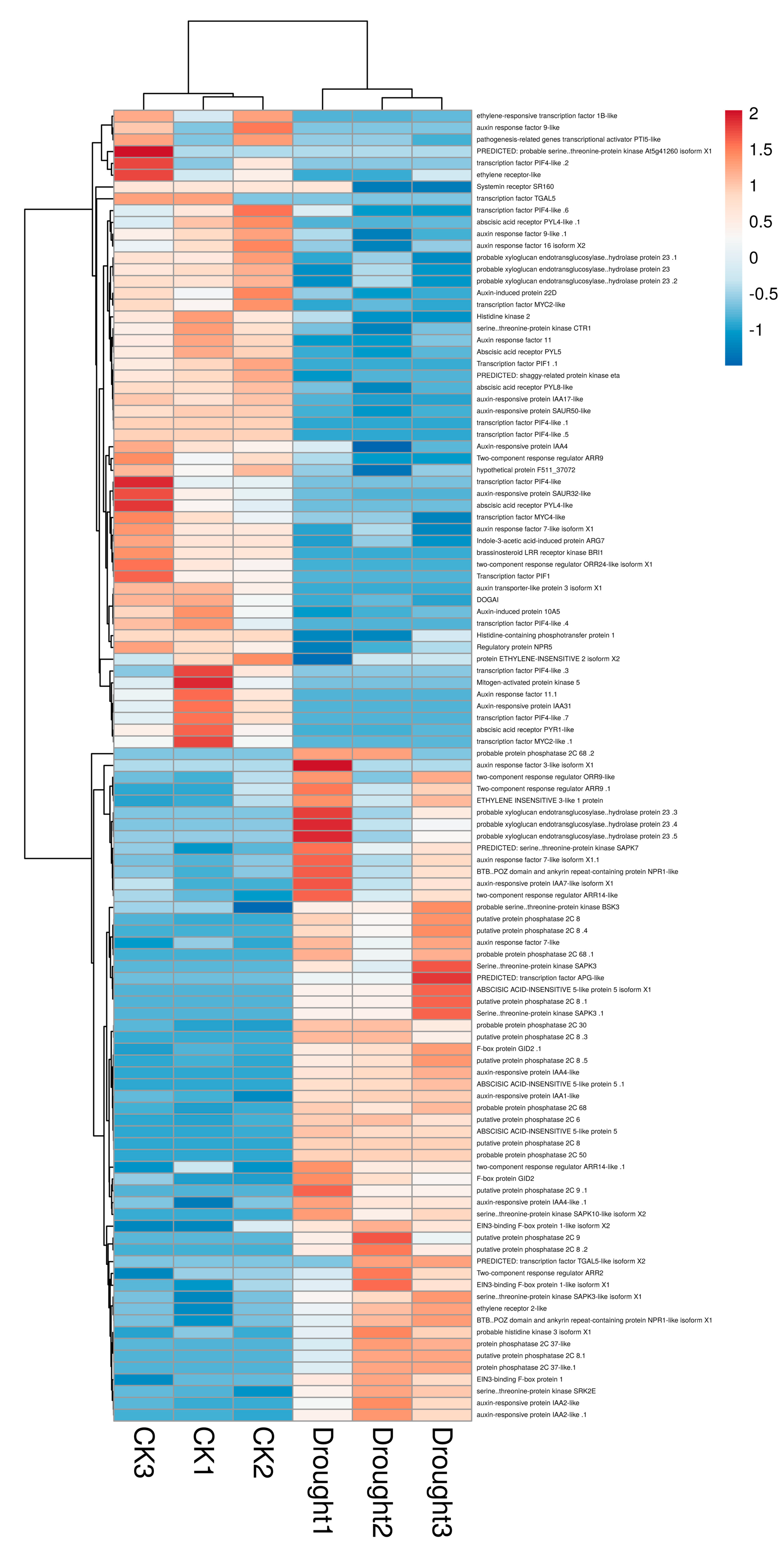 Horticulturae 09 00307 g006