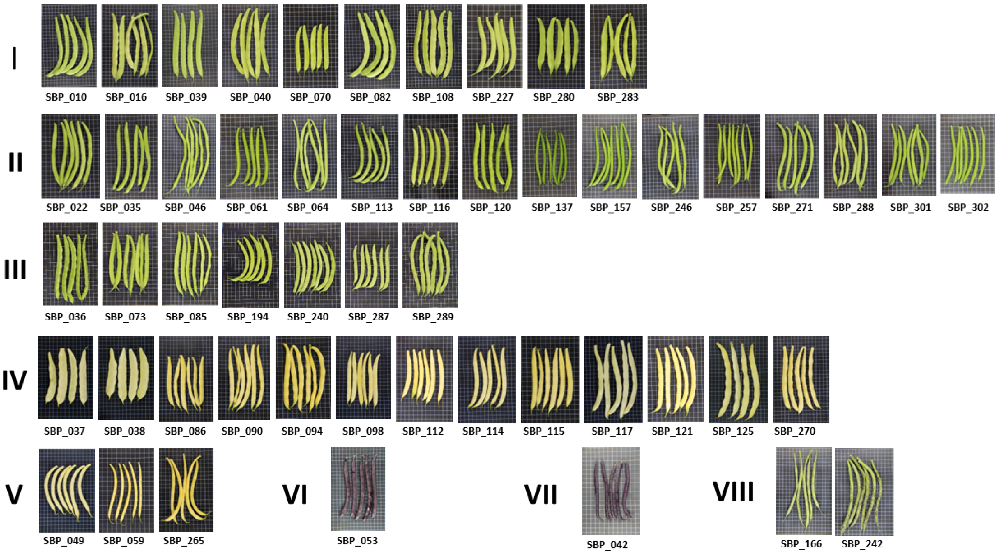 Horticulturae 09 00311 g001 Horticulturae 09 00311 g001