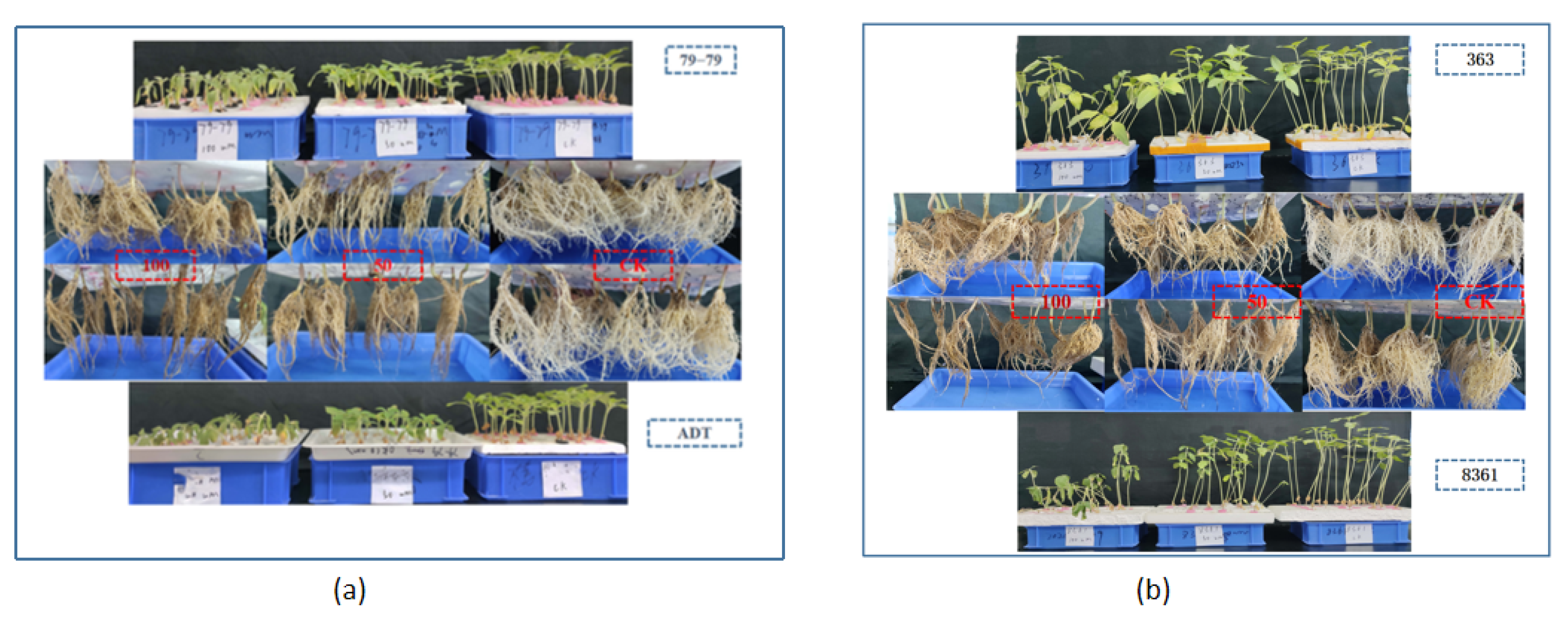 Horticulturae 09 00320 g002 Horticulturae 09 00320 g002