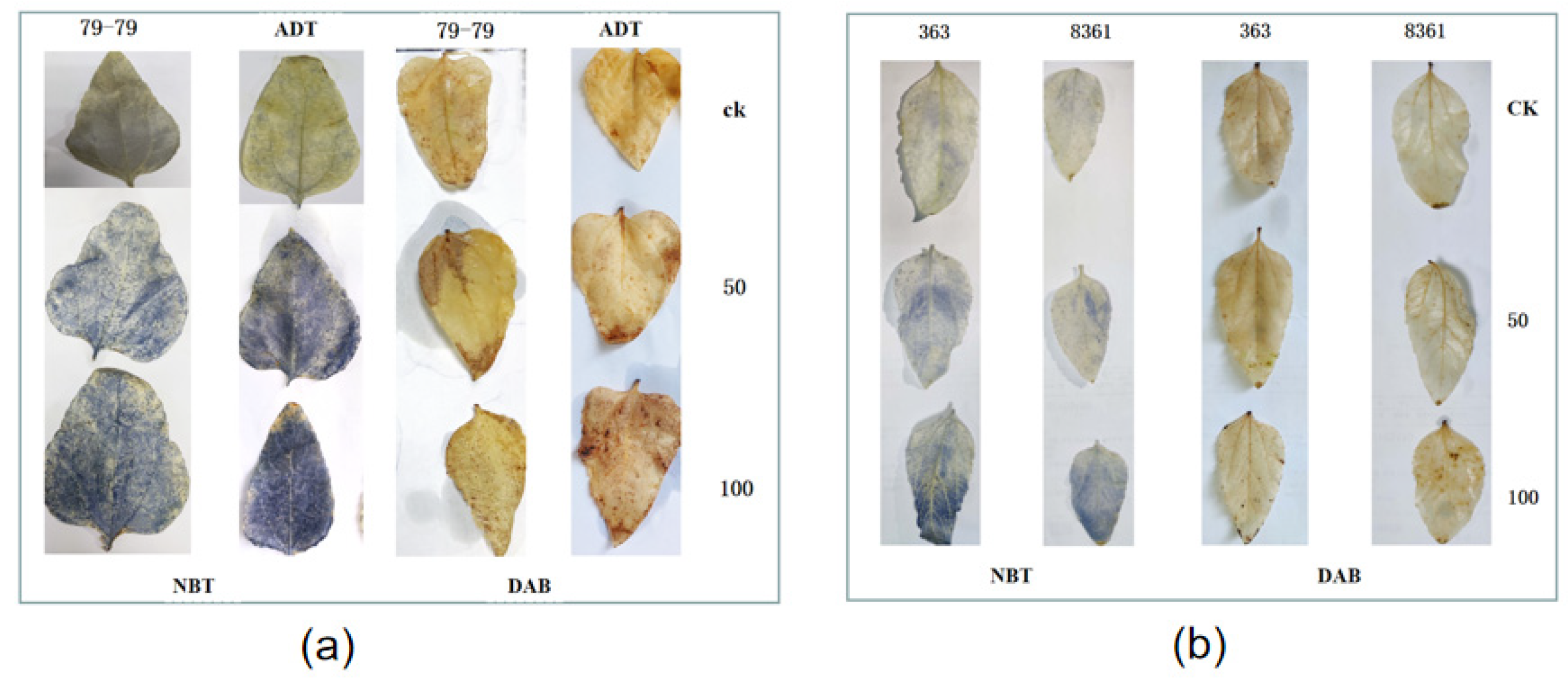 Horticulturae 09 00320 g008 Horticulturae 09 00320 g008