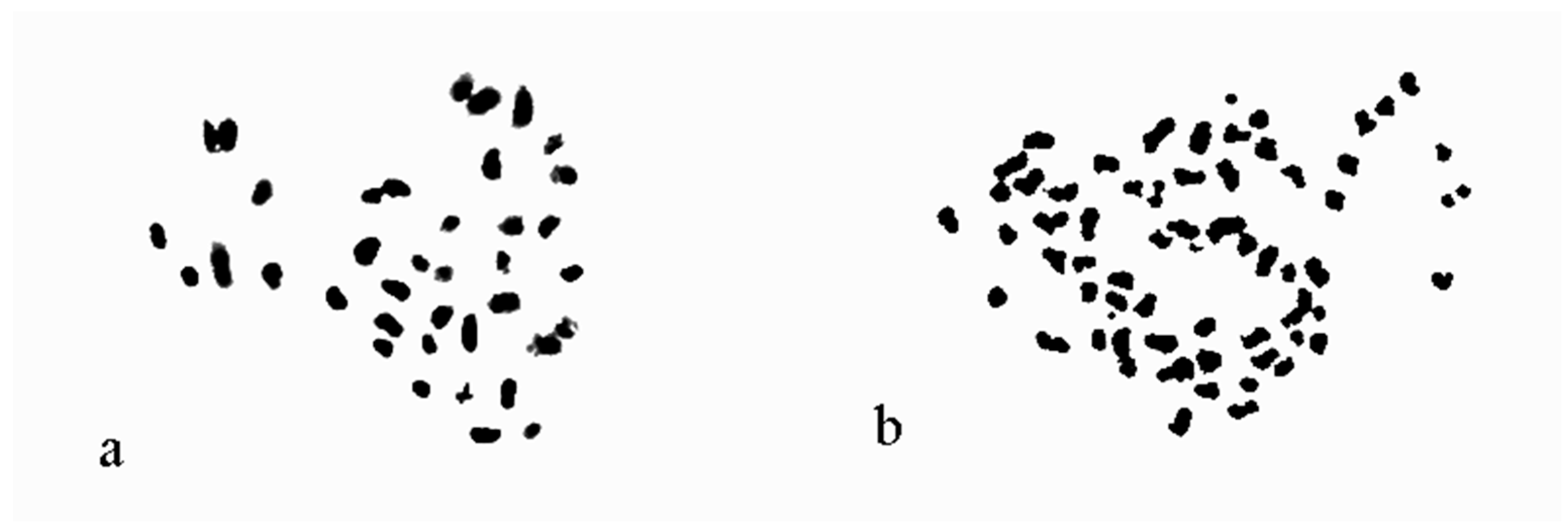 Horticulturae 09 00329 g005 Horticulturae 09 00329 g005