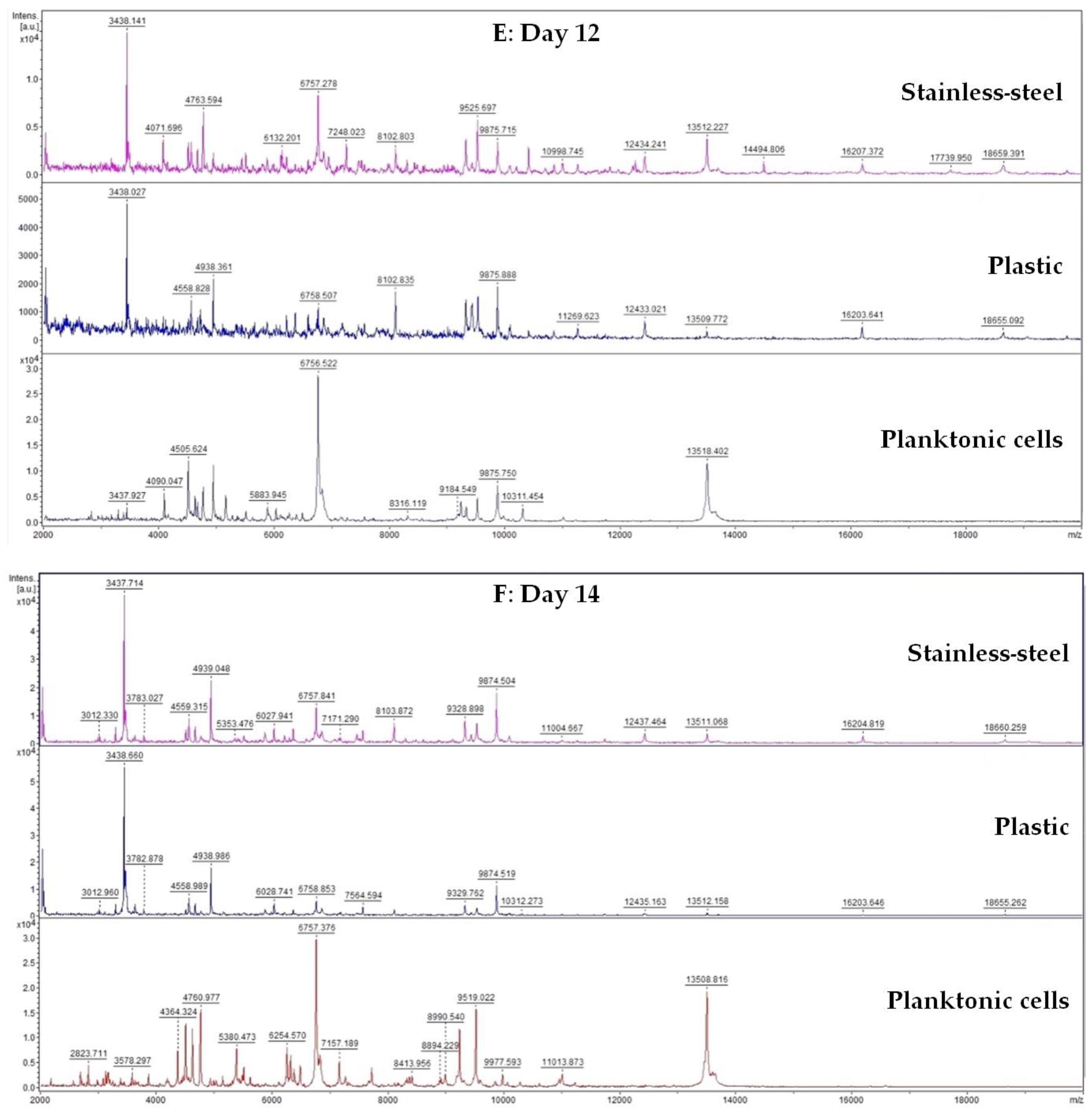 Horticulturae 09 00333 g001c
